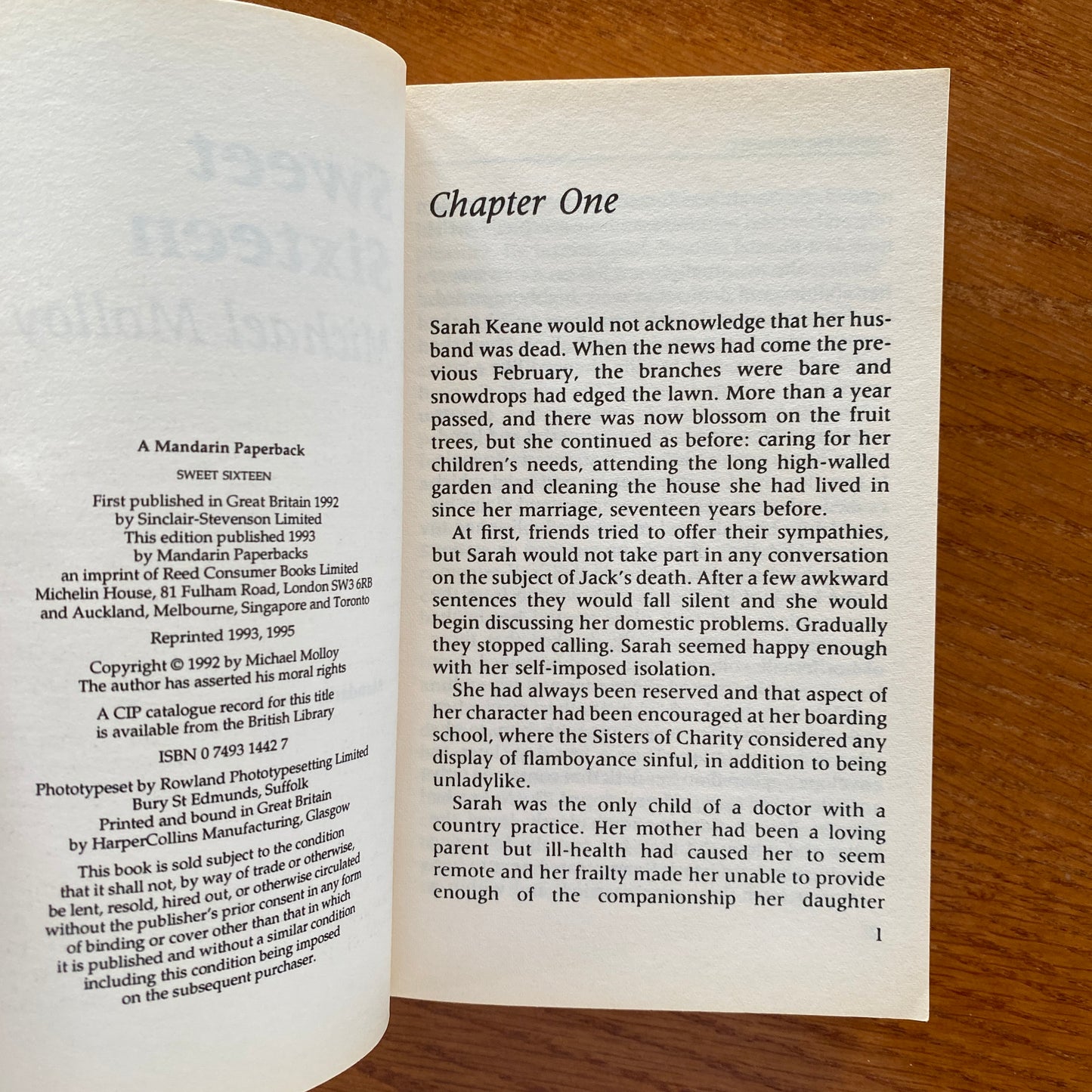 Sweet Sixteen And A Maniac At Large - Michael Molloy