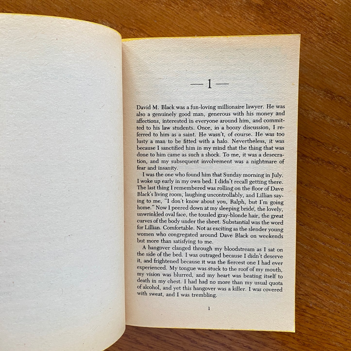 Heads You Lose - Robert B. Gillespe