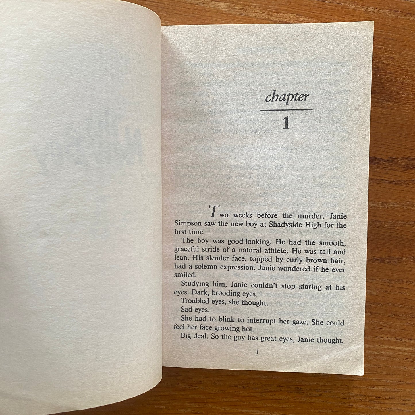 R.L Stine - Fear Street: The New Boy