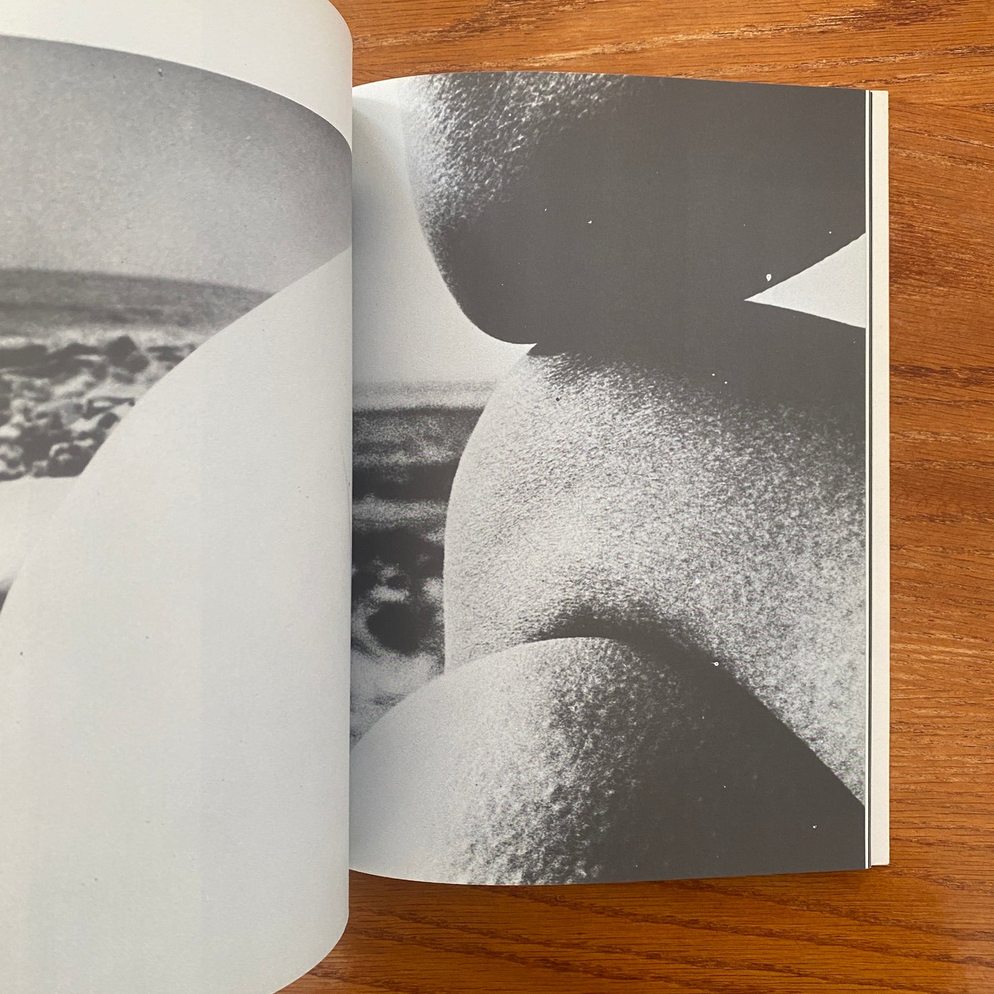 The History Of The Nude In Photography -