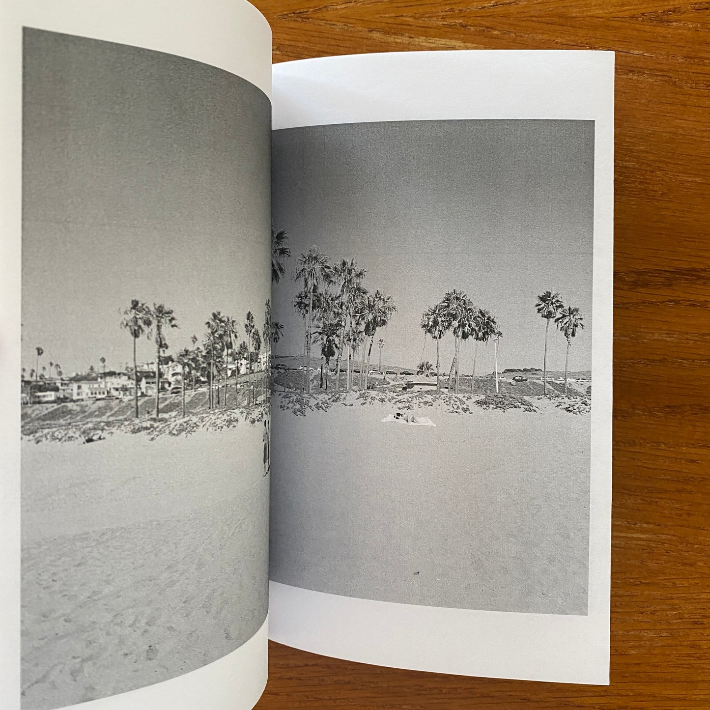 E Z beach - Ray Potes