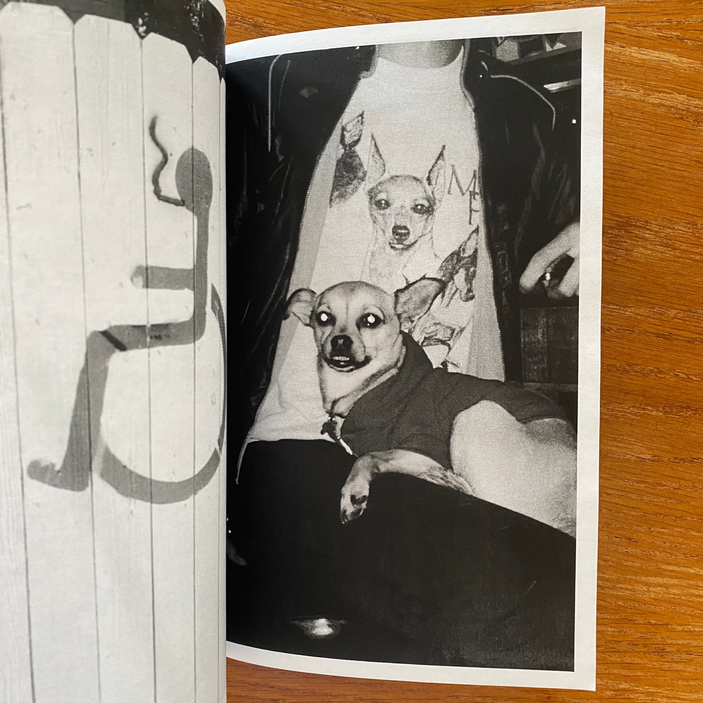 Later Dudes - Kappy