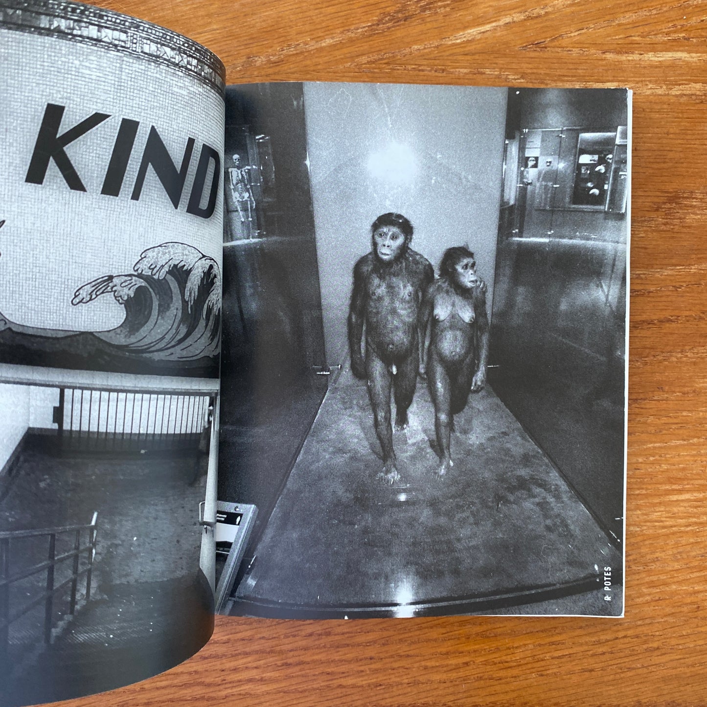 Hamburger Eyes 12