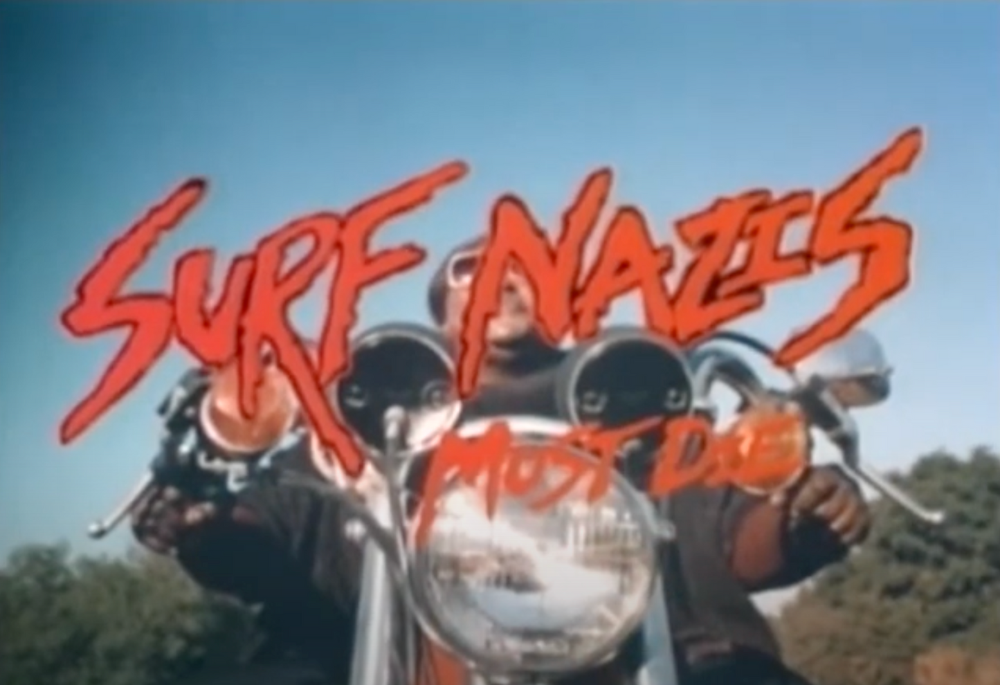 *Surf Nazi's Must Die