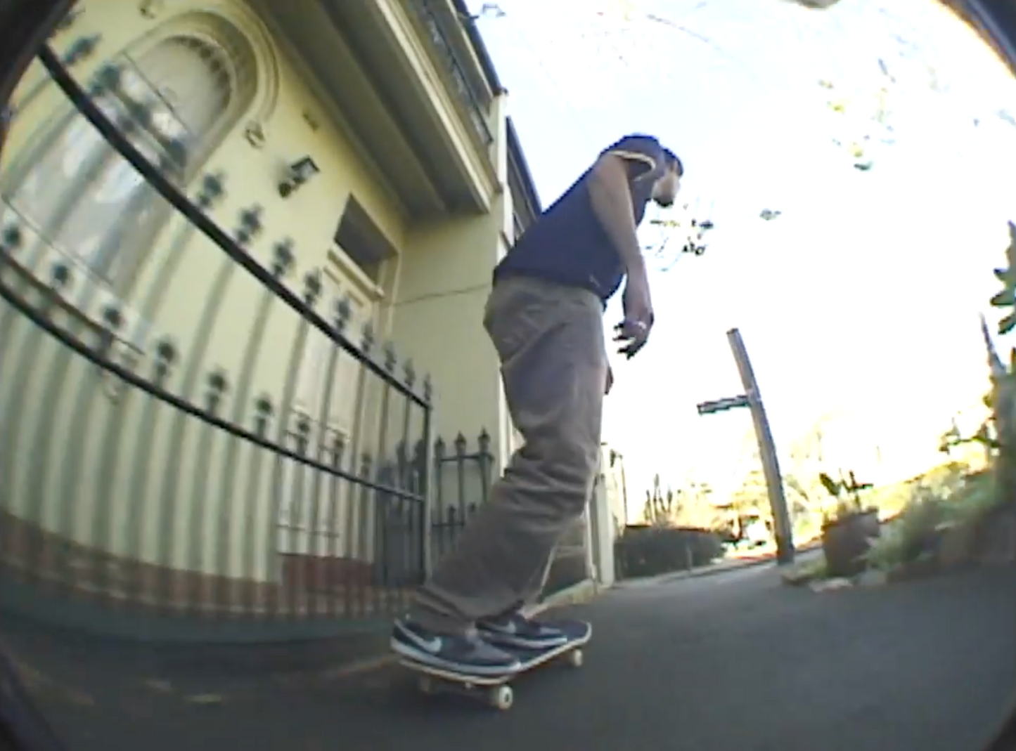 Transworld - The Cinematographer Project: Worldview