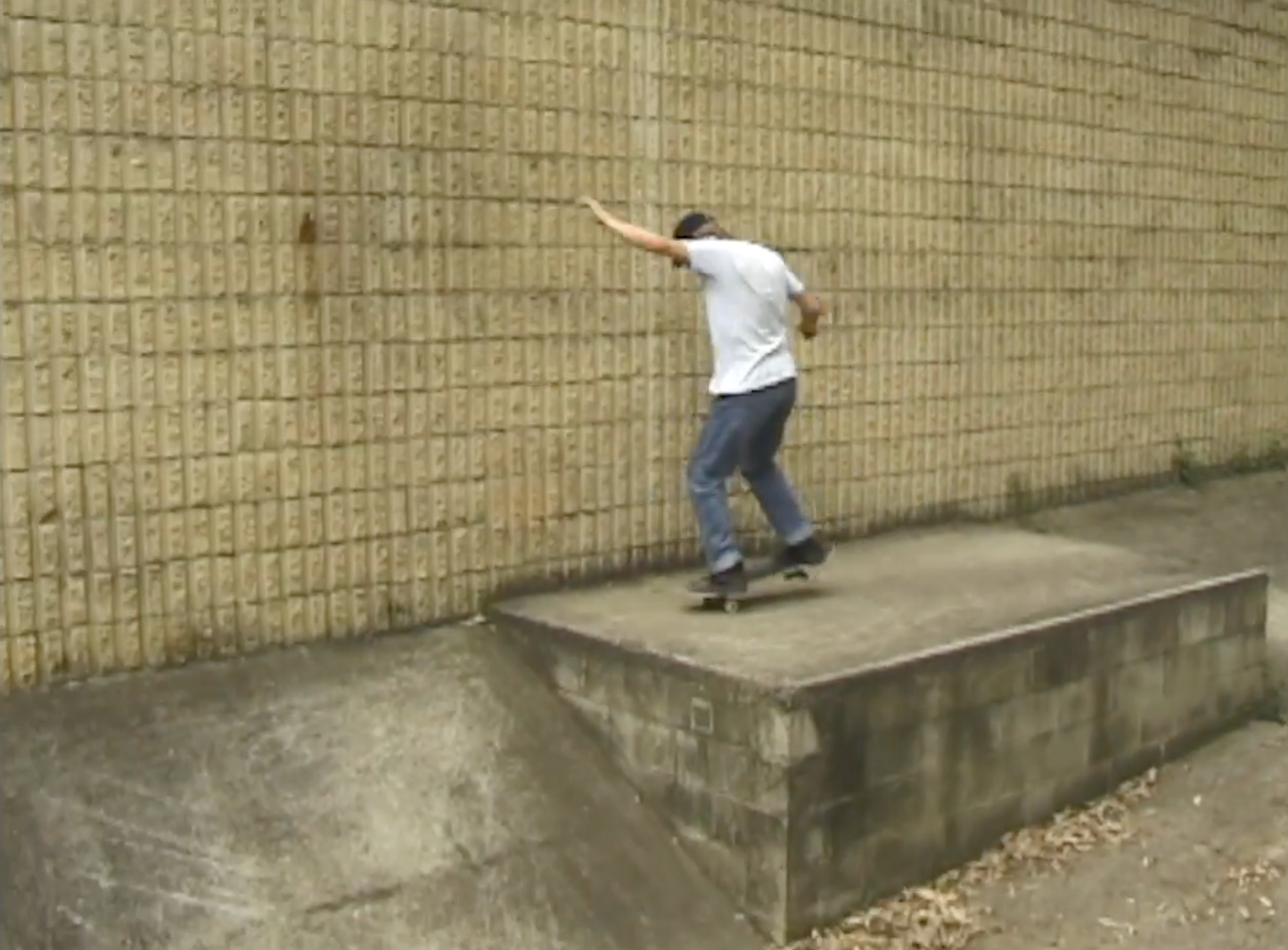 Transworld - The Cinematographer Project: Worldview