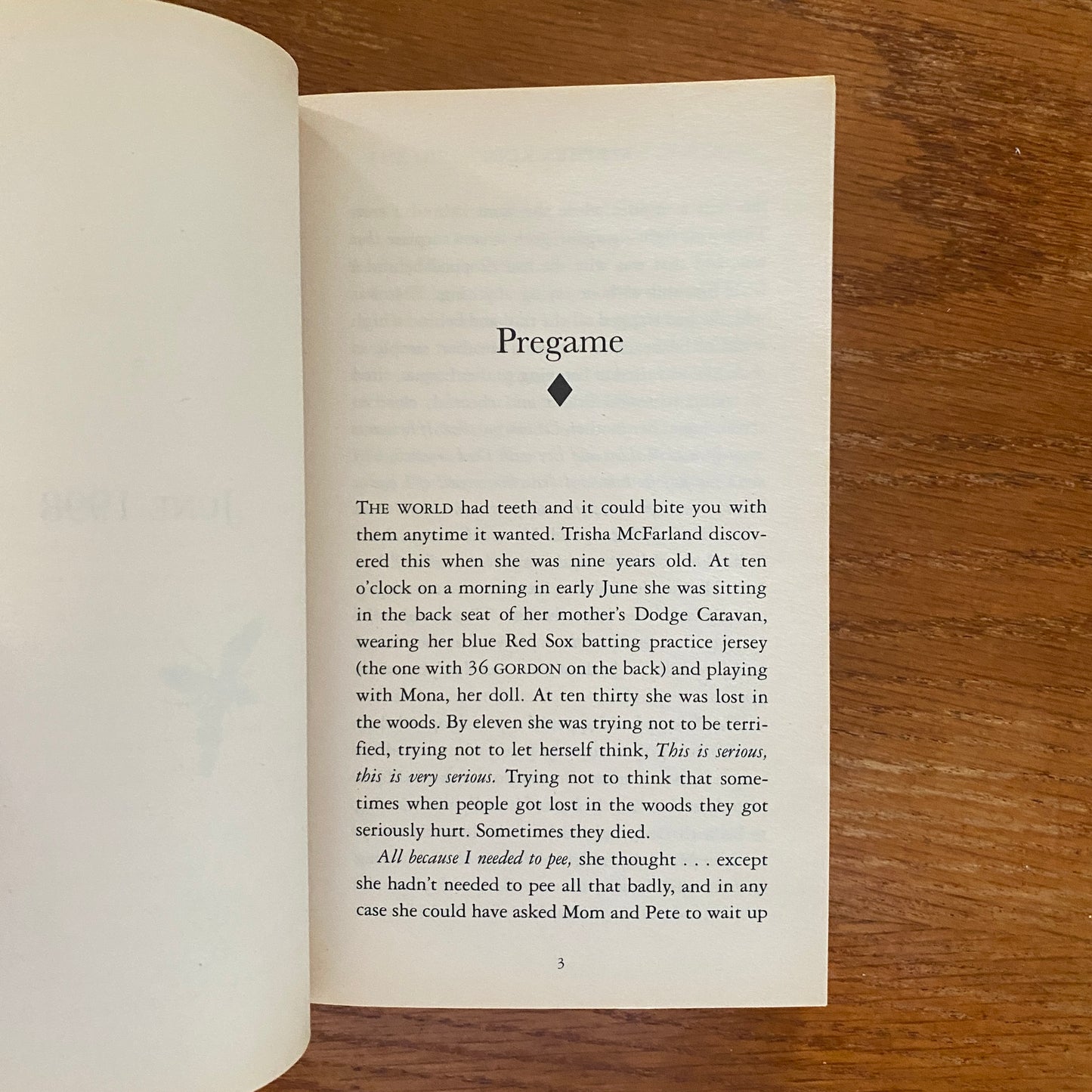 The Girl Who Loved Tom Gordon - Stephen King