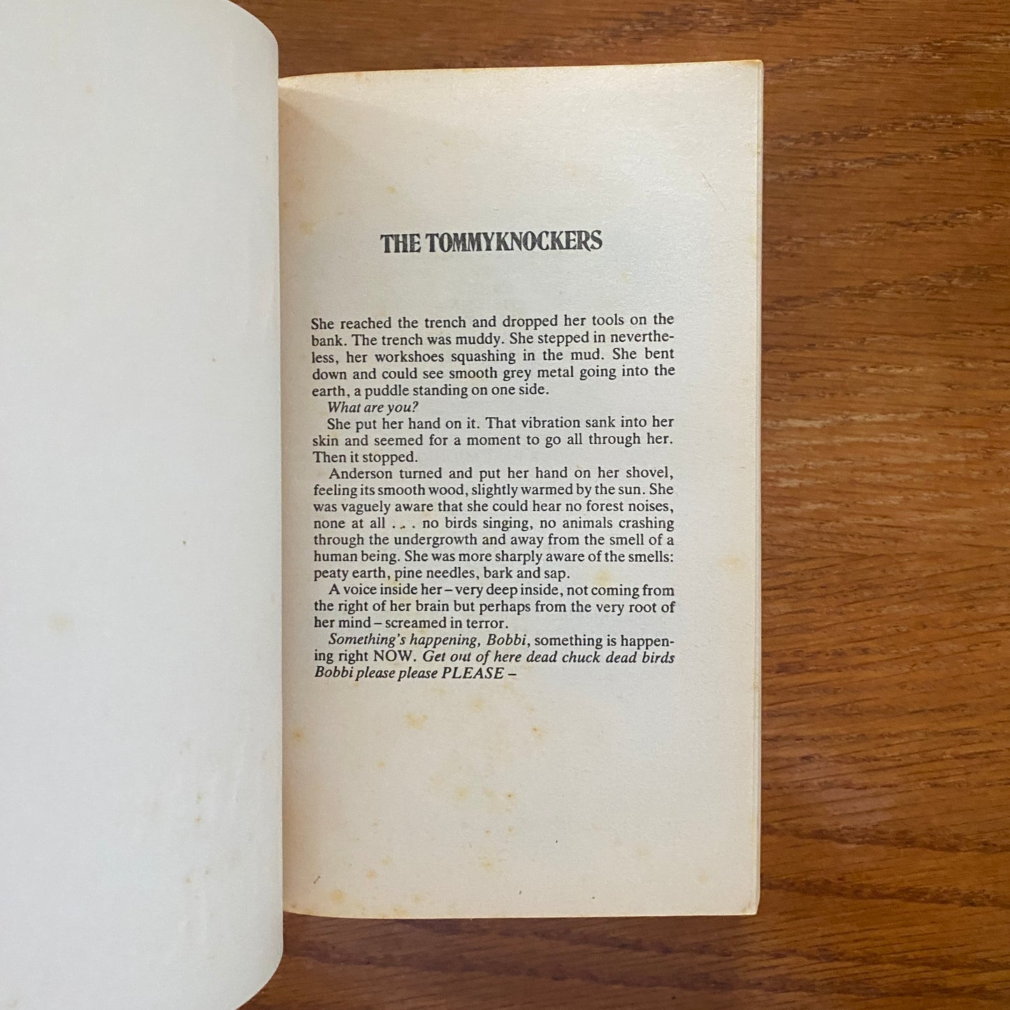 The Tommyknockers - Stephen King