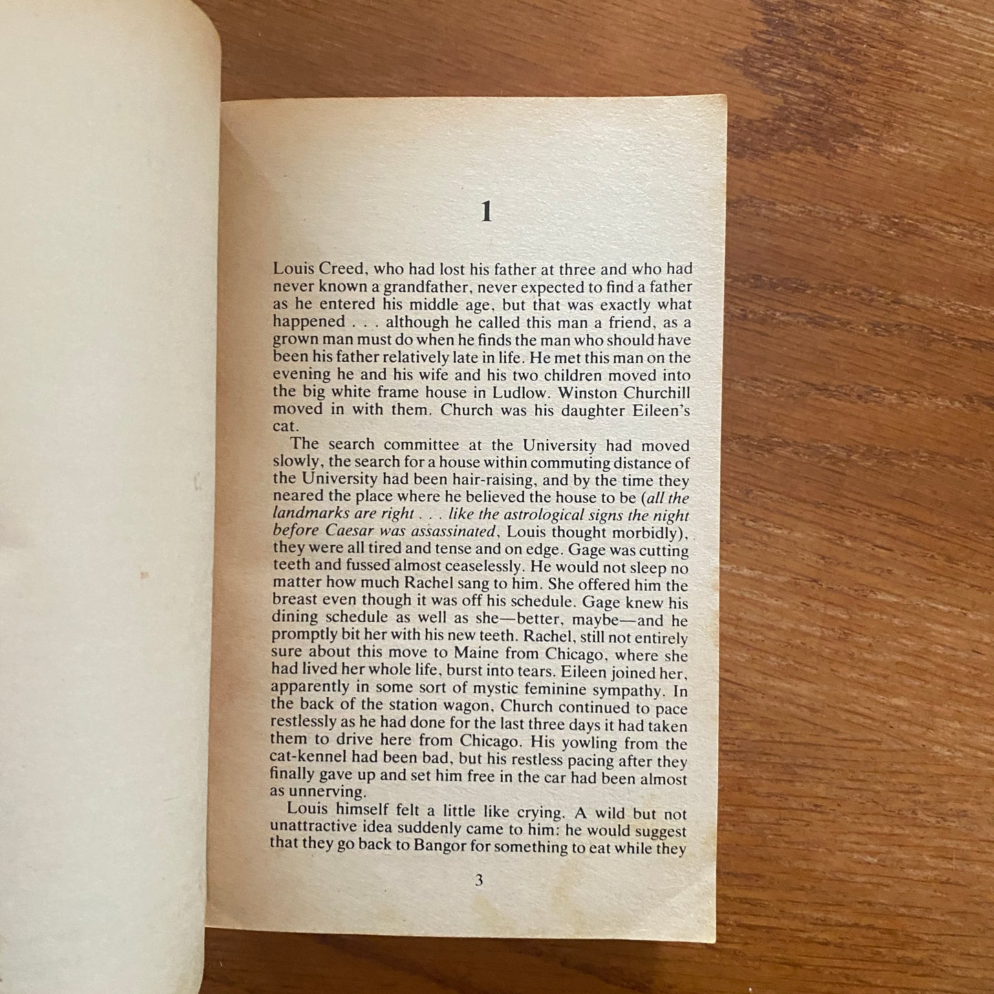 Pet Sematary - Stephen King