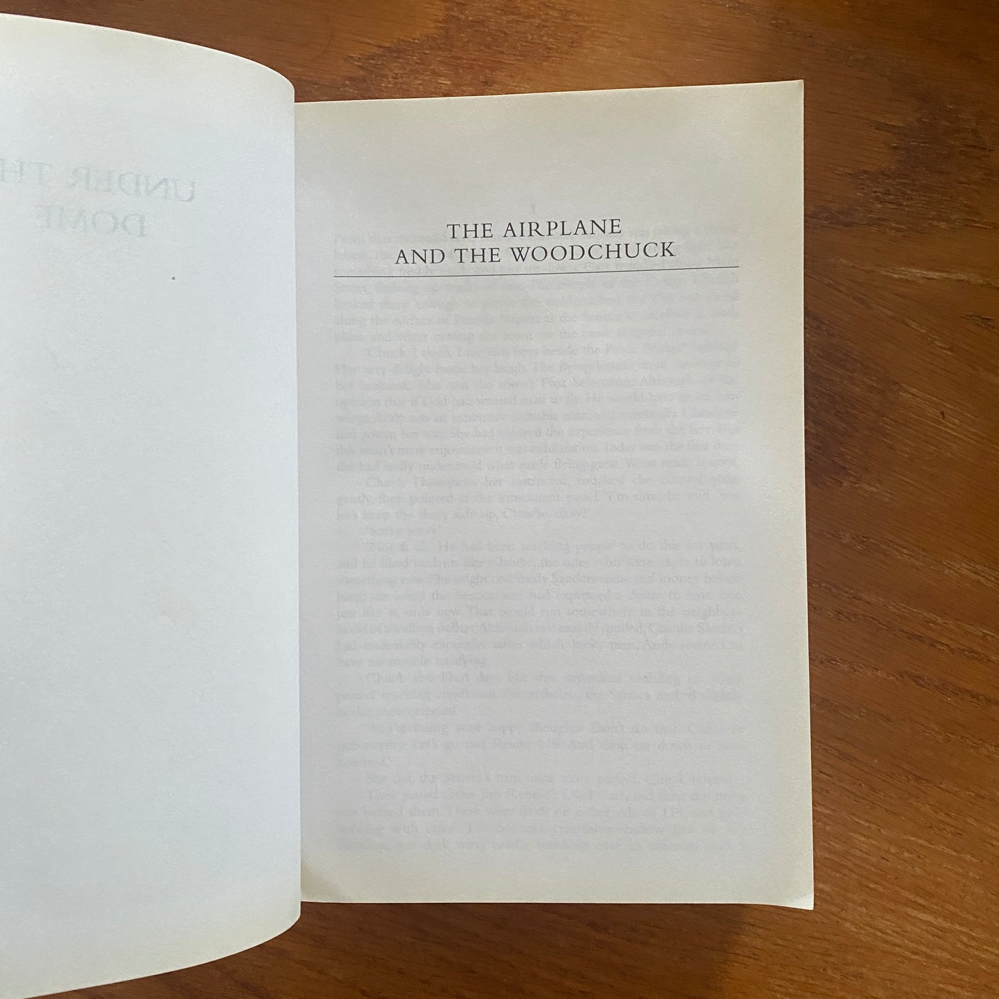 Under The Dome - Stephen King