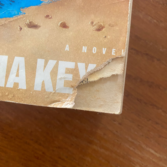 Duma Key - Stephen King