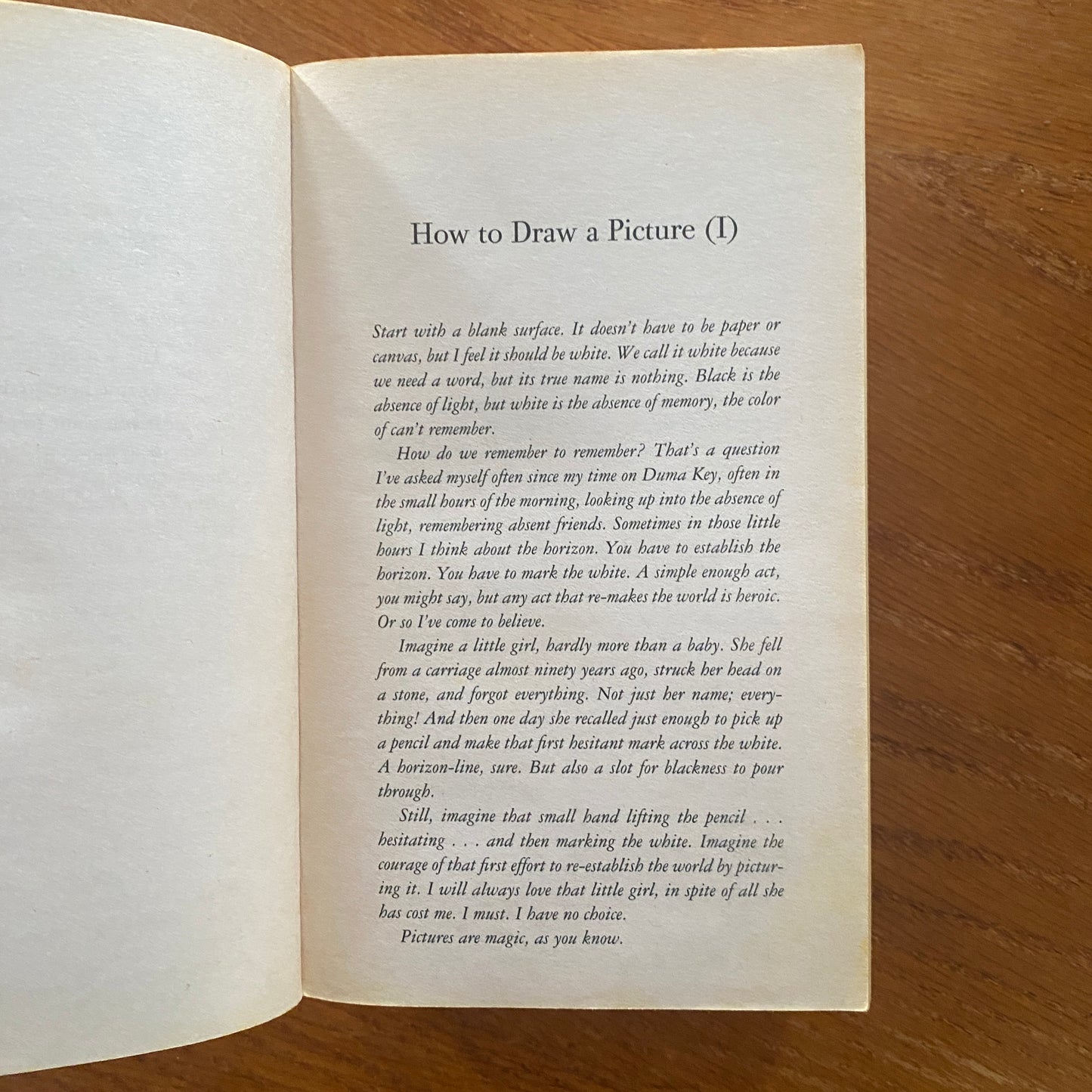 Duma Key - Stephen King