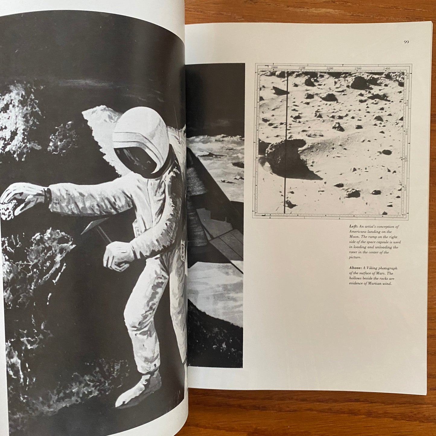 Fantastic Planets - Jean-Claude Suares, Richard Siegel & David Owen