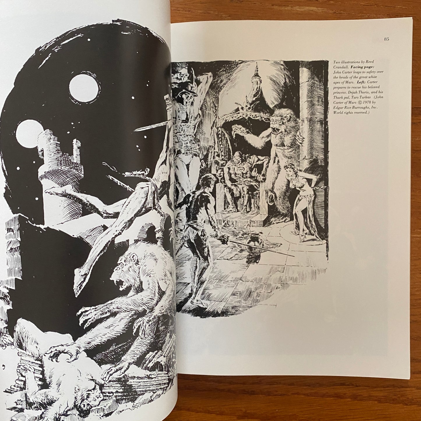 Fantastic Planets - Jean-Claude Suares, Richard Siegel & David Owen