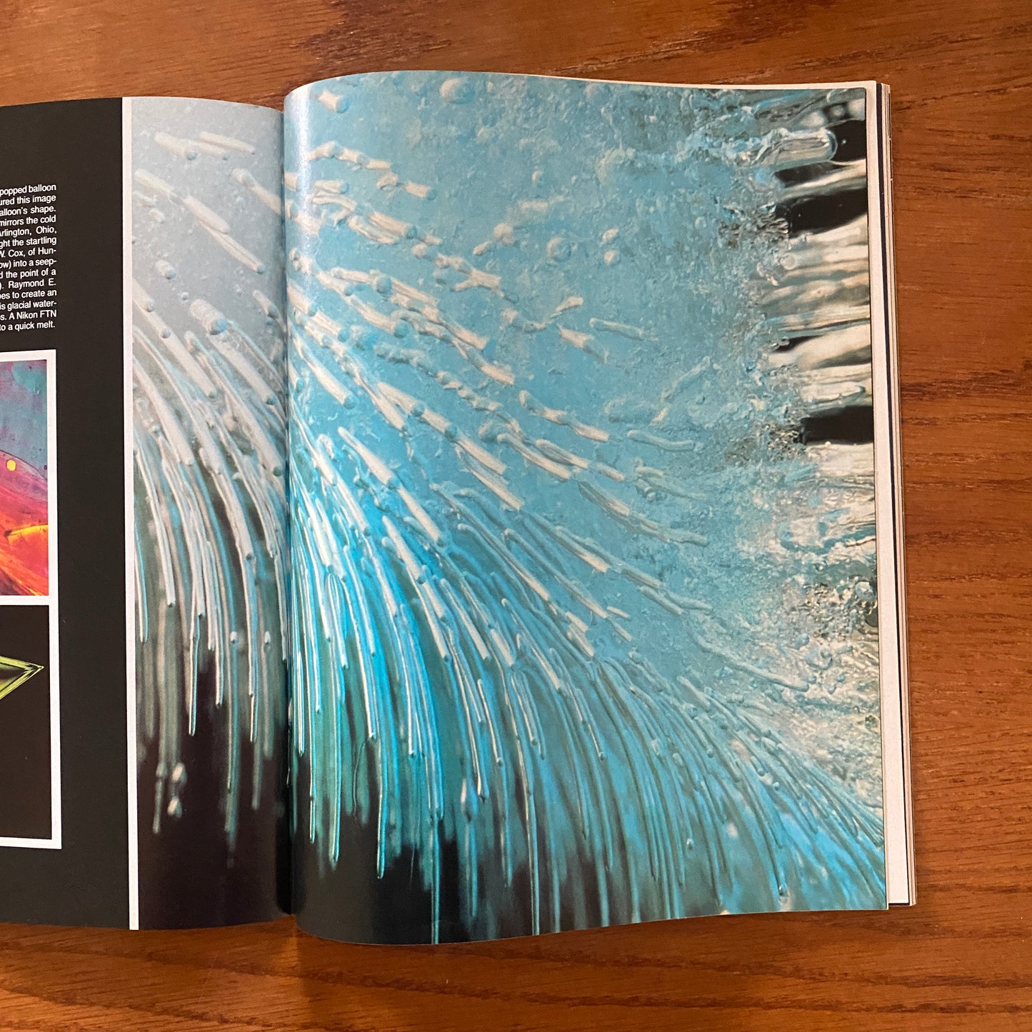 OMNI JAN 1981