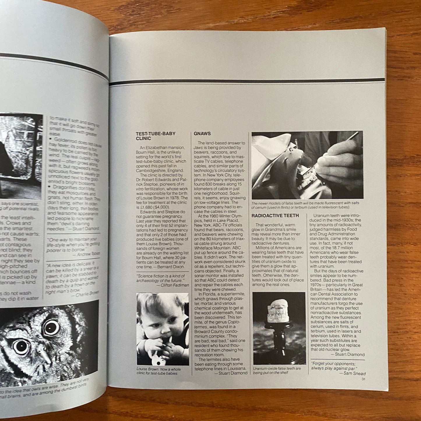OMNI JAN 1981