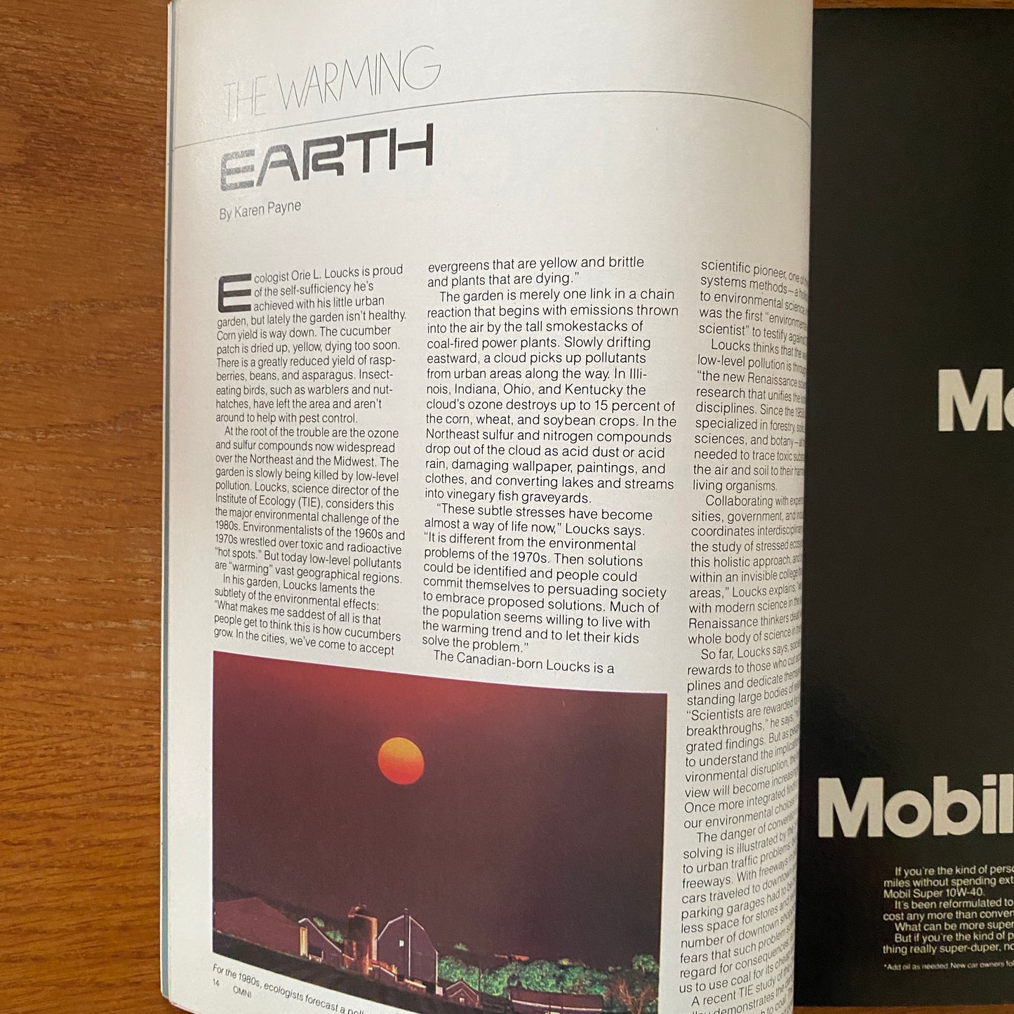 OMNI JULY 1981