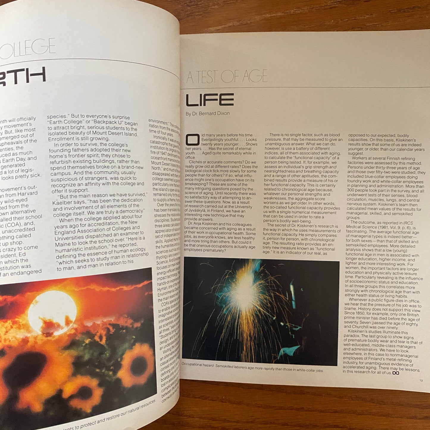 OMNI MAY 1981
