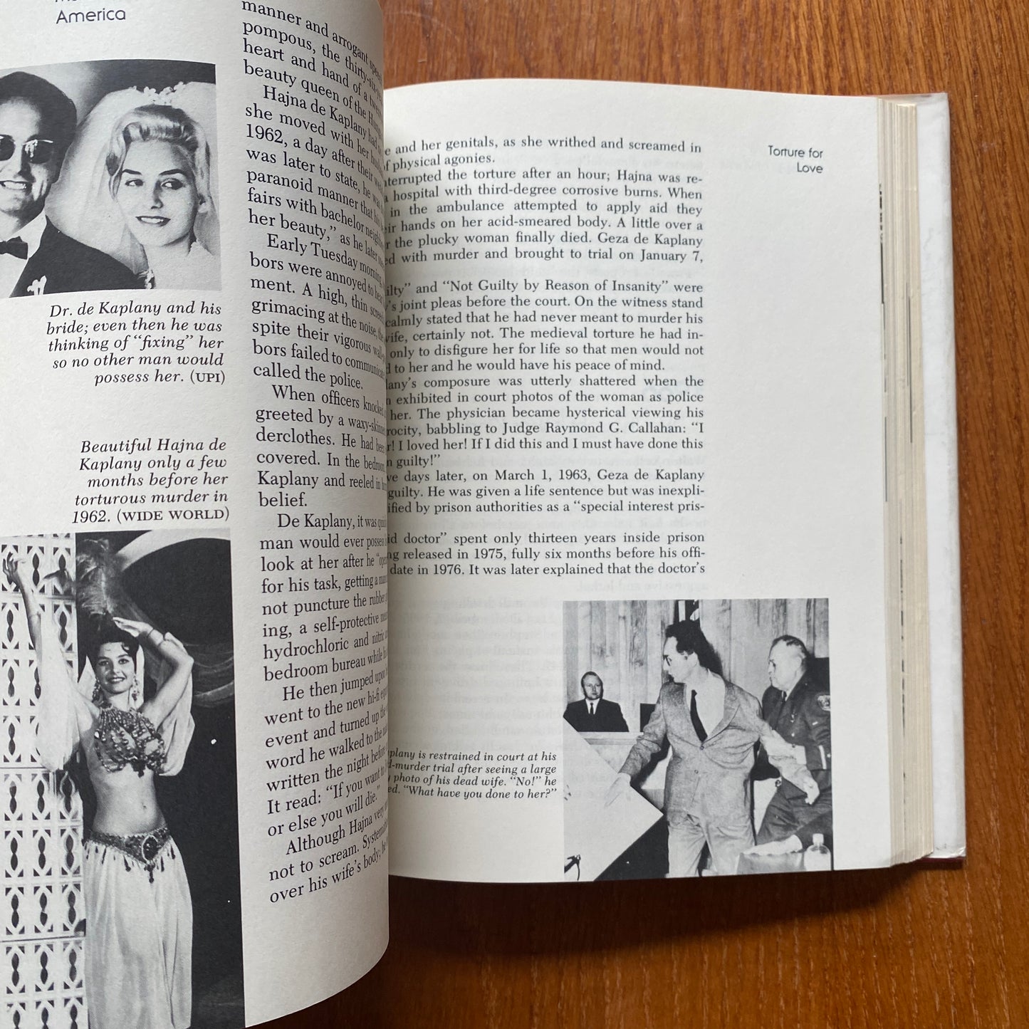 Murder, America - Jay Robert Nash