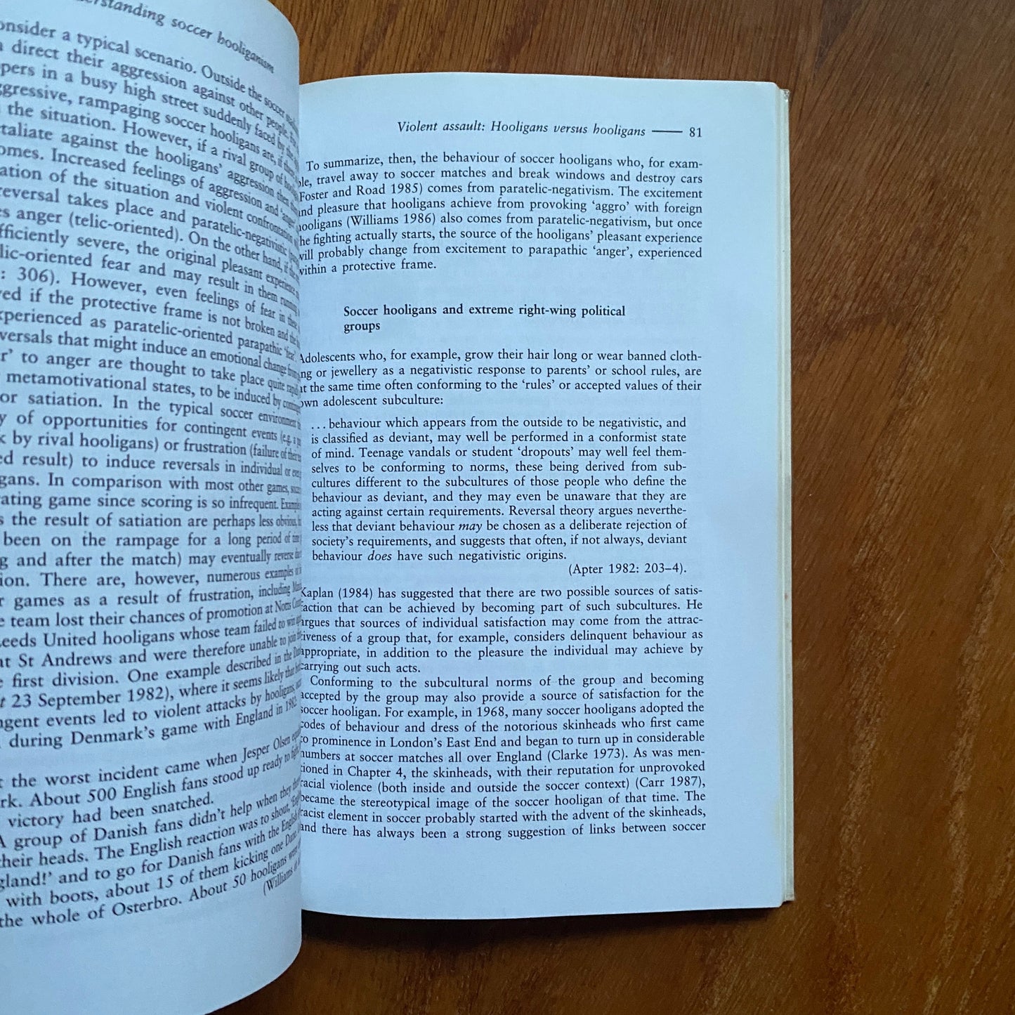 Understanding Soccer Hooliganism - John H. Kerr