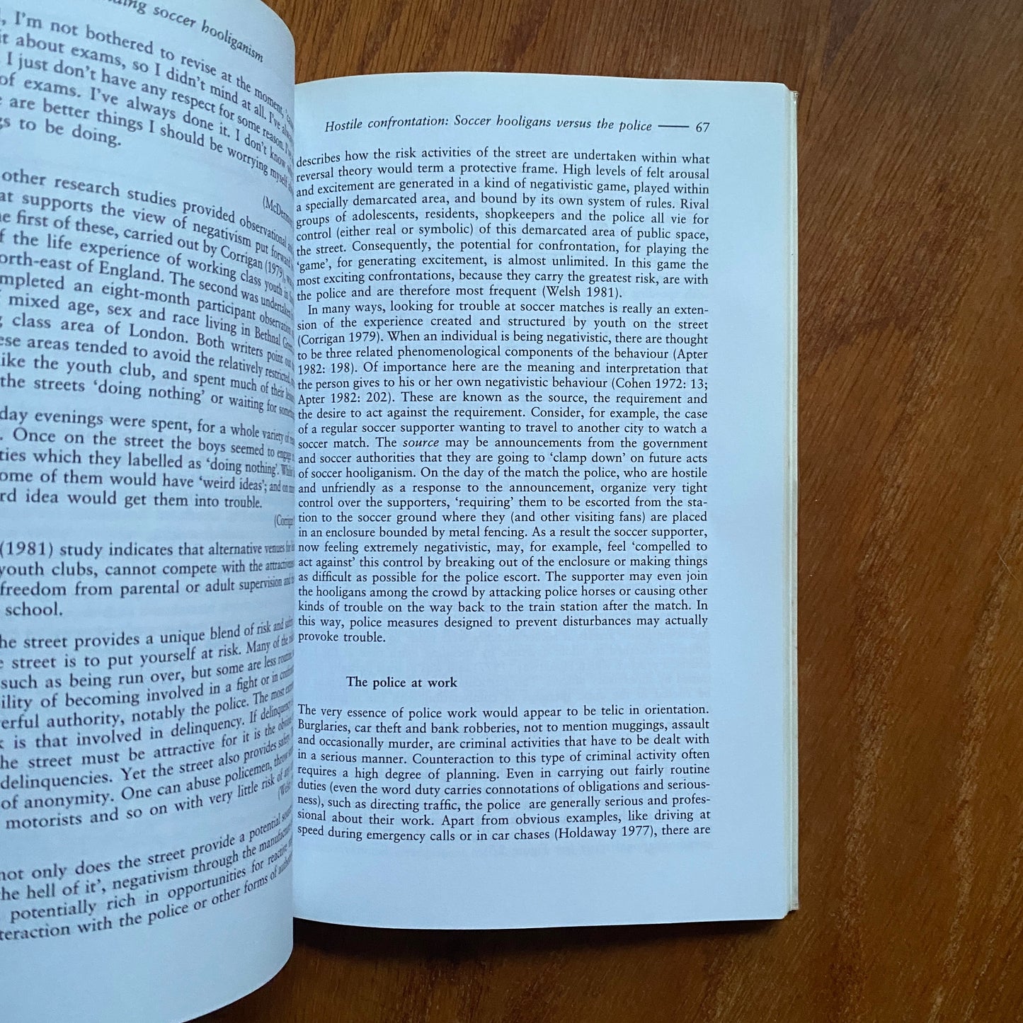 Understanding Soccer Hooliganism - John H. Kerr