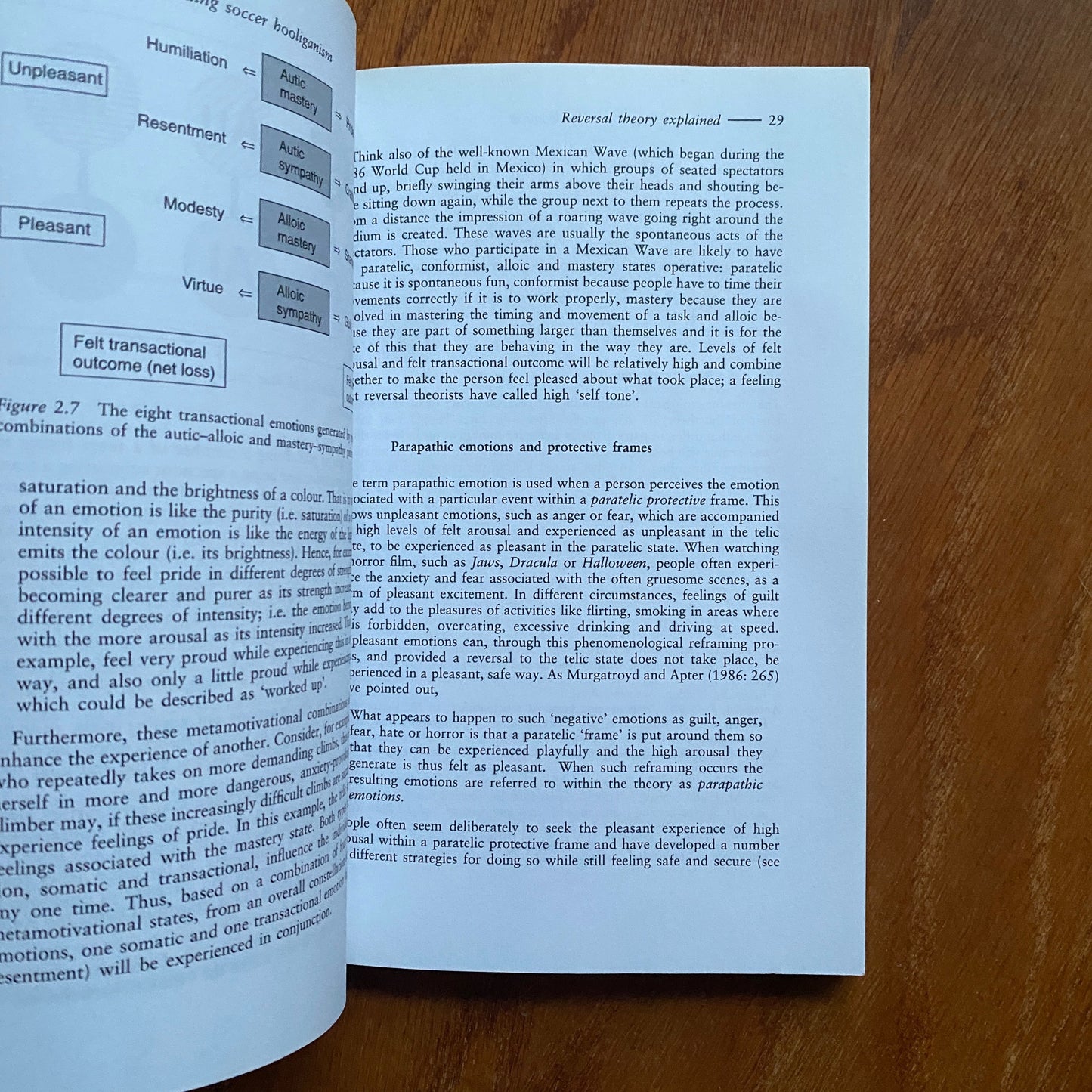 Understanding Soccer Hooliganism - John H. Kerr