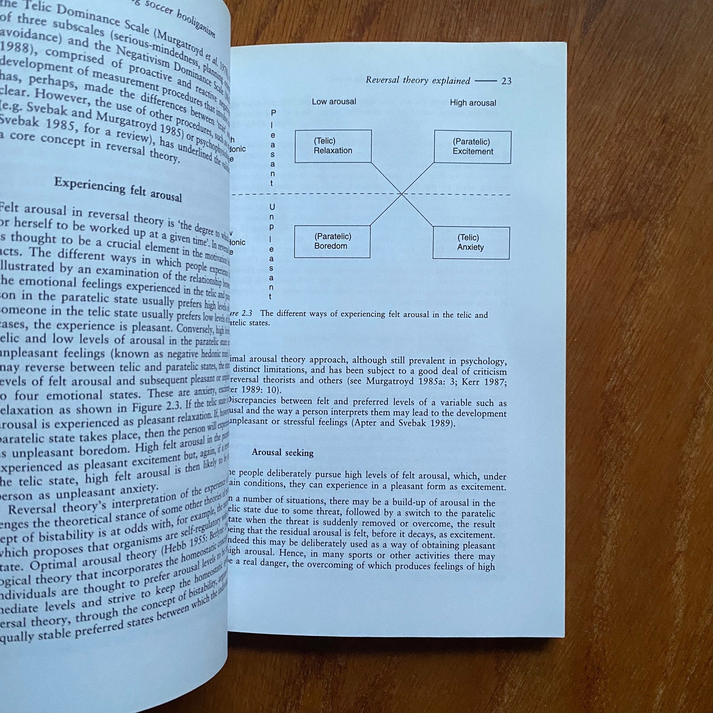 Understanding Soccer Hooliganism - John H. Kerr