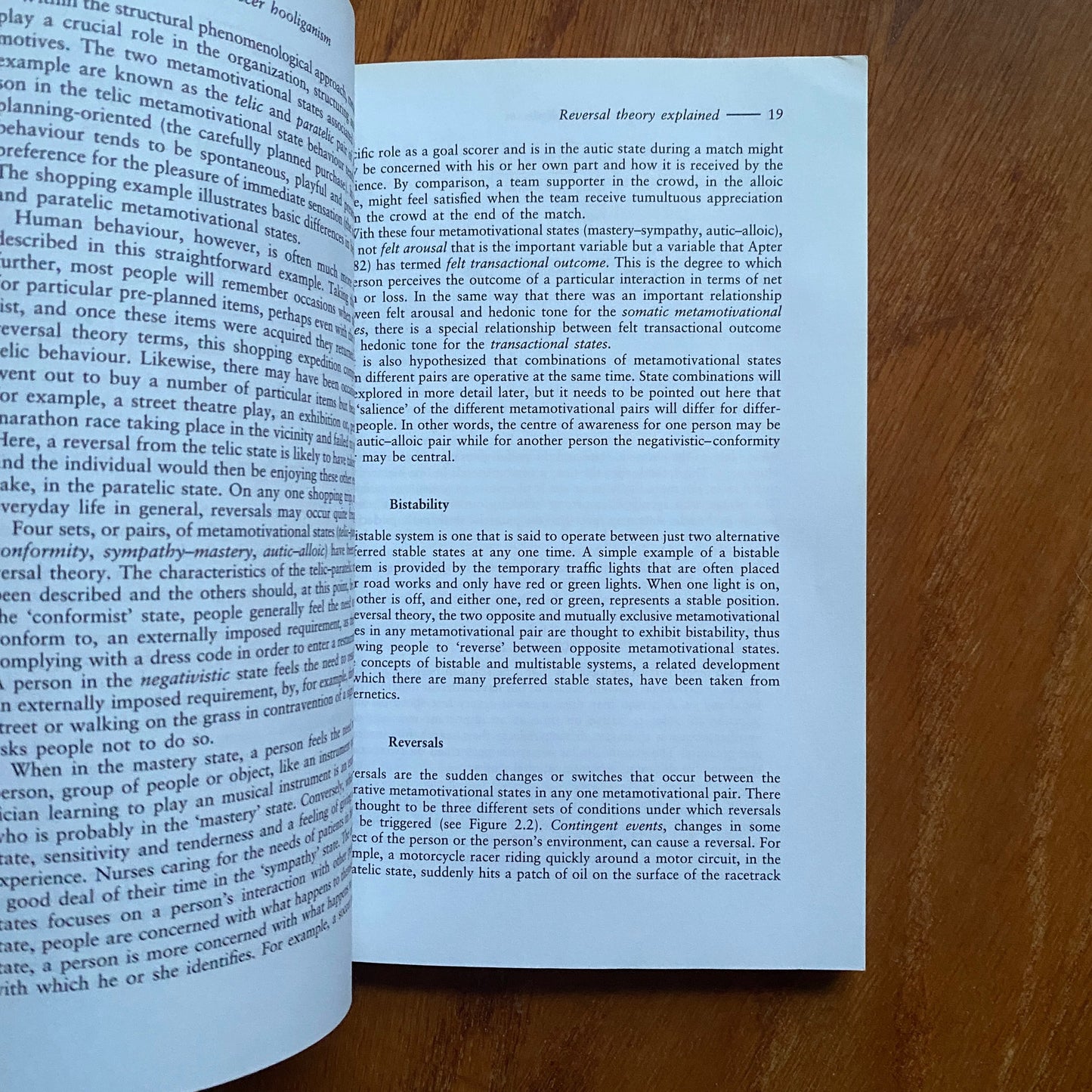 Understanding Soccer Hooliganism - John H. Kerr