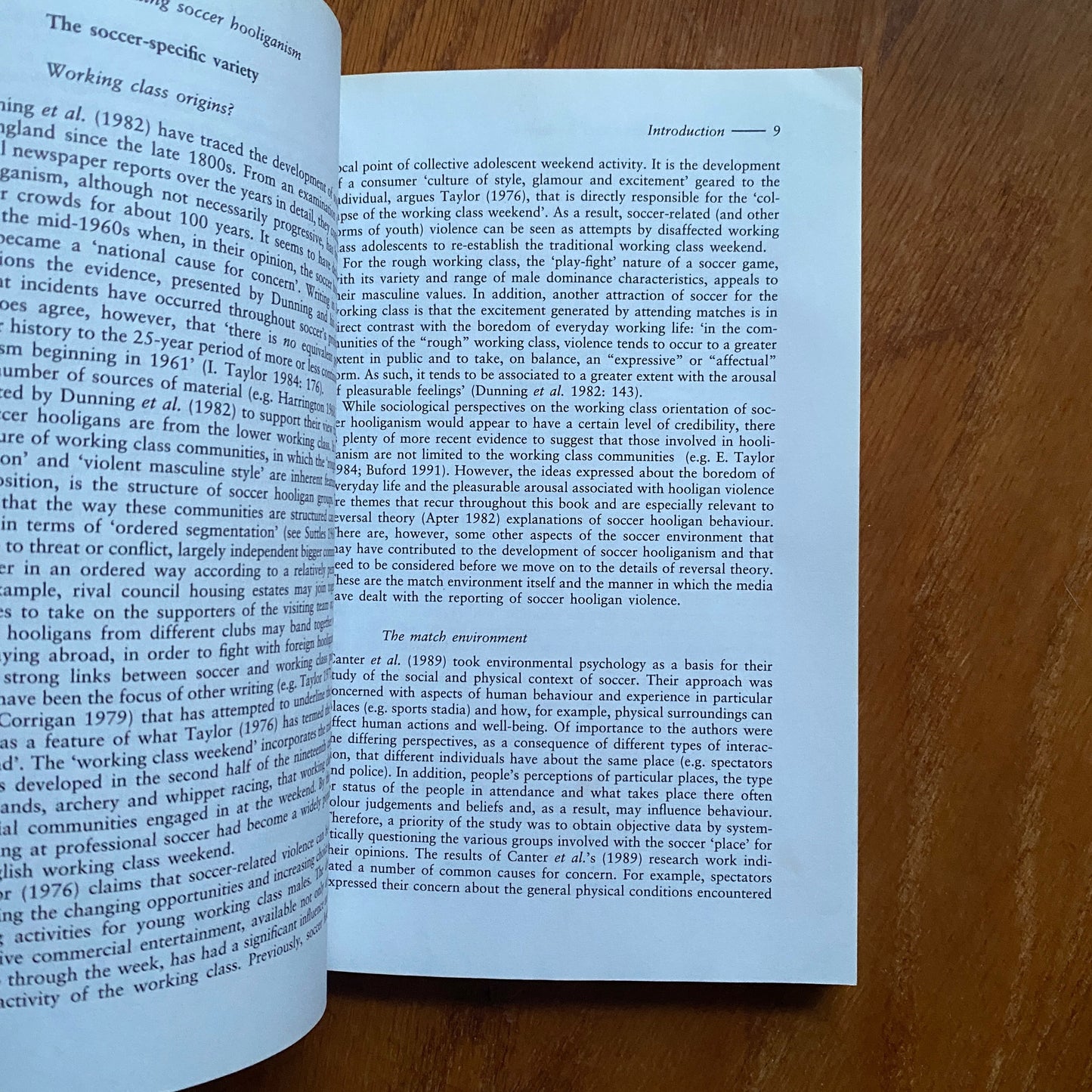 Understanding Soccer Hooliganism - John H. Kerr