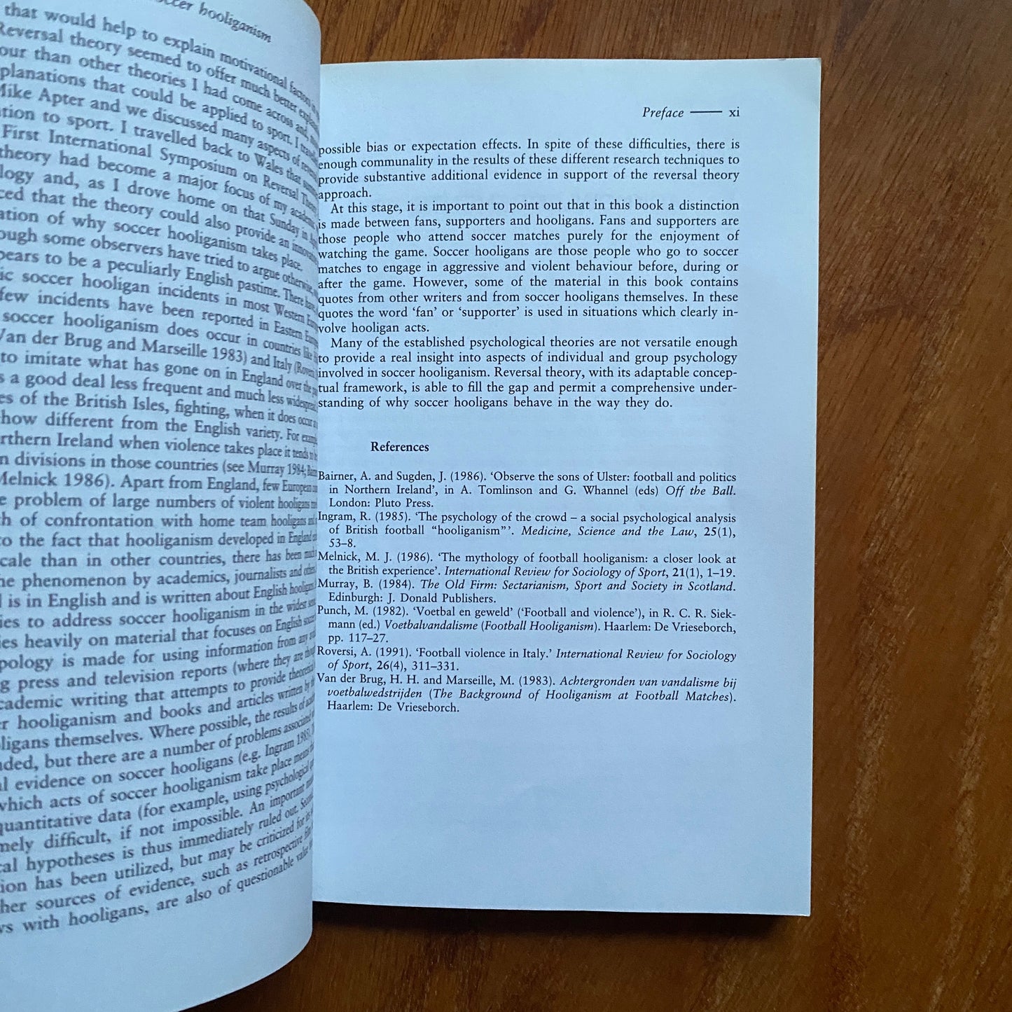 Understanding Soccer Hooliganism - John H. Kerr