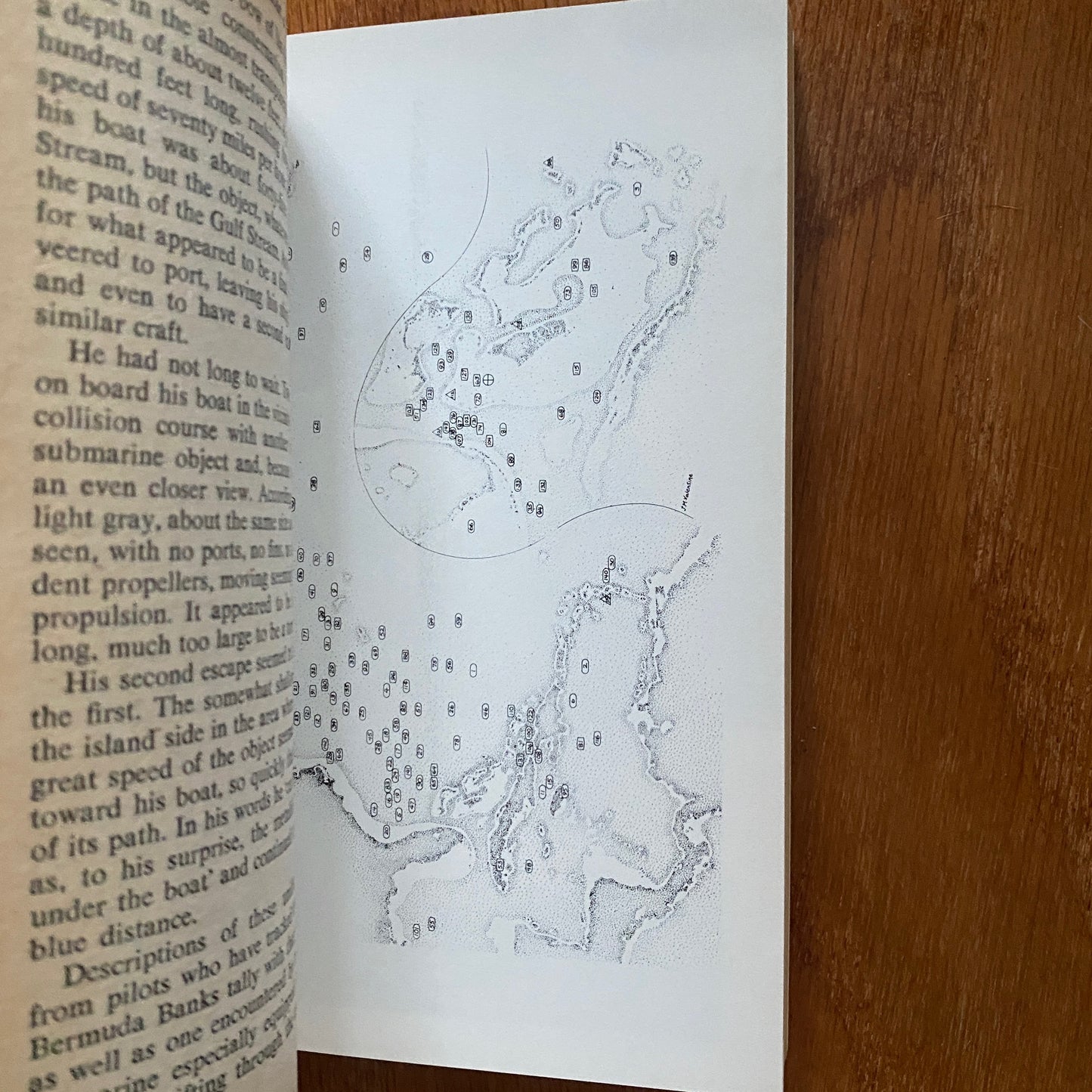 Without A Trace - Charles Berlitz