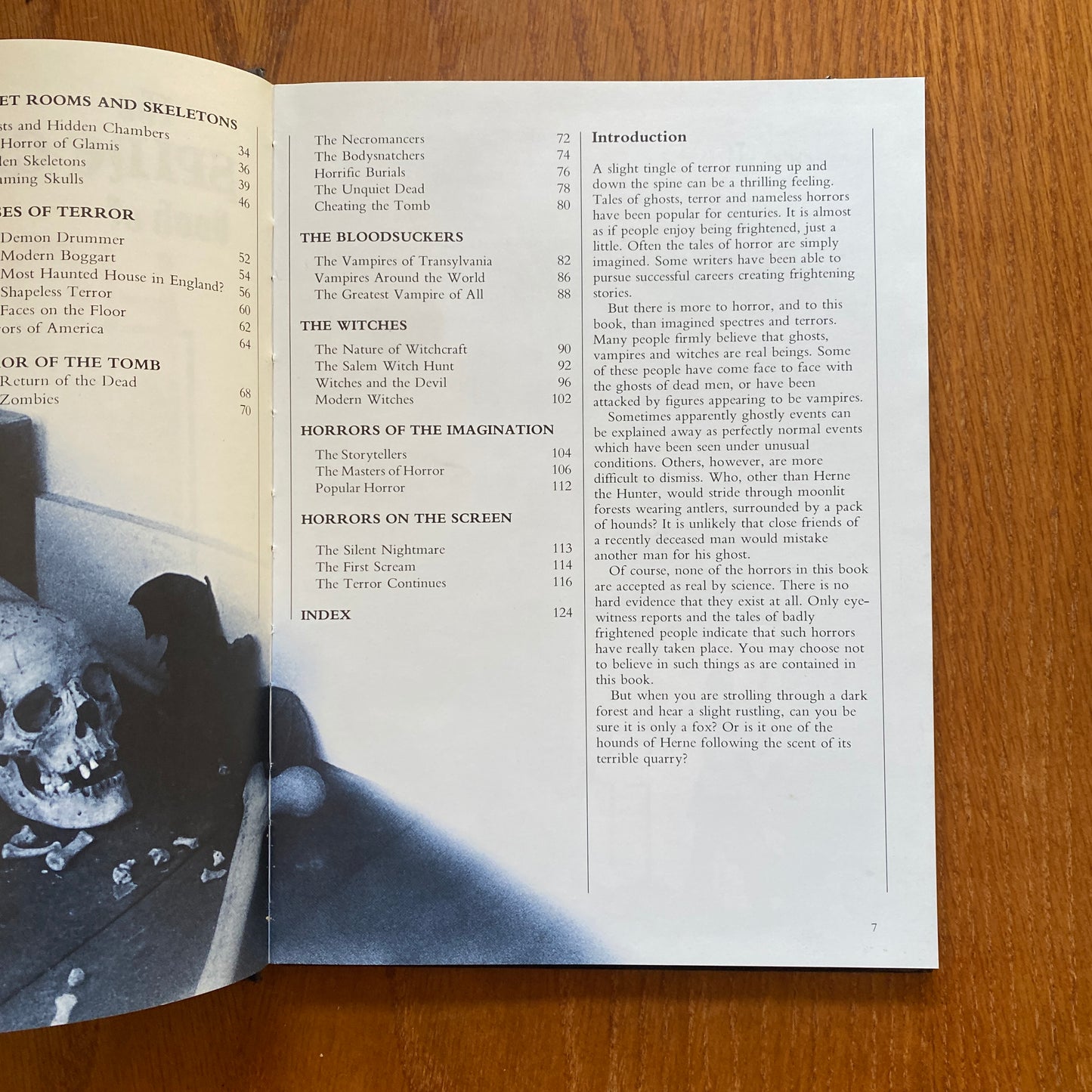 The Spine-chilling Book of Horror - Rupert Mathews