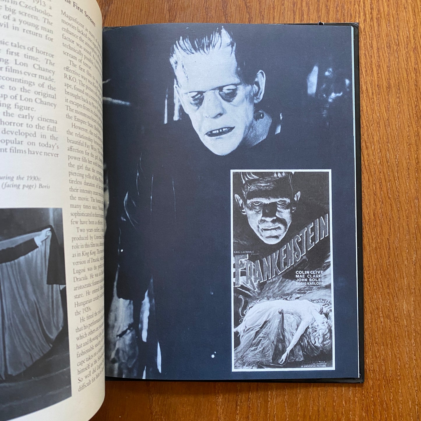 The Spine-chilling Book of Horror - Rupert Mathews