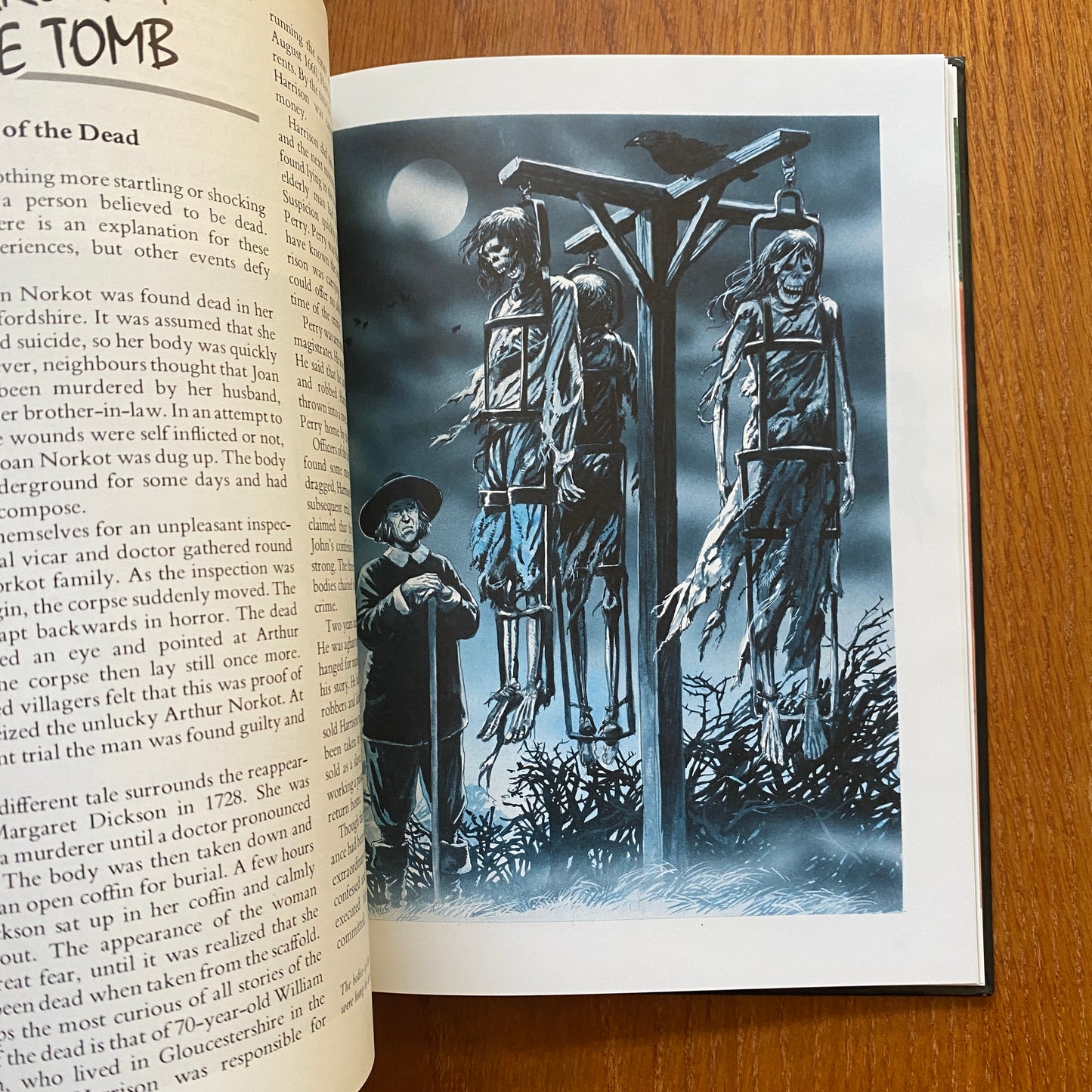 The Spine-chilling Book of Horror - Rupert Mathews