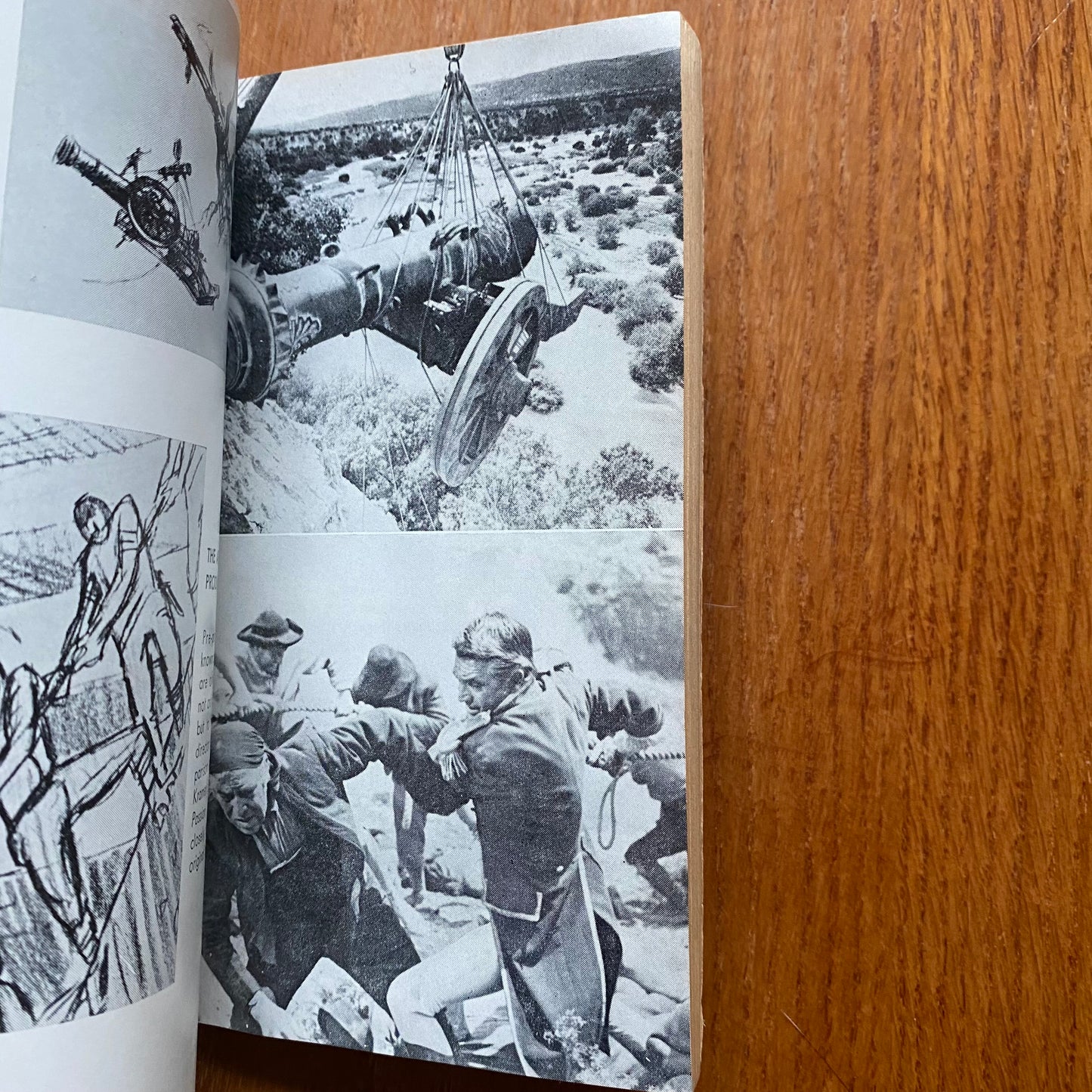 The Liveliest Art Mass Market Paperback - Arthur Knight