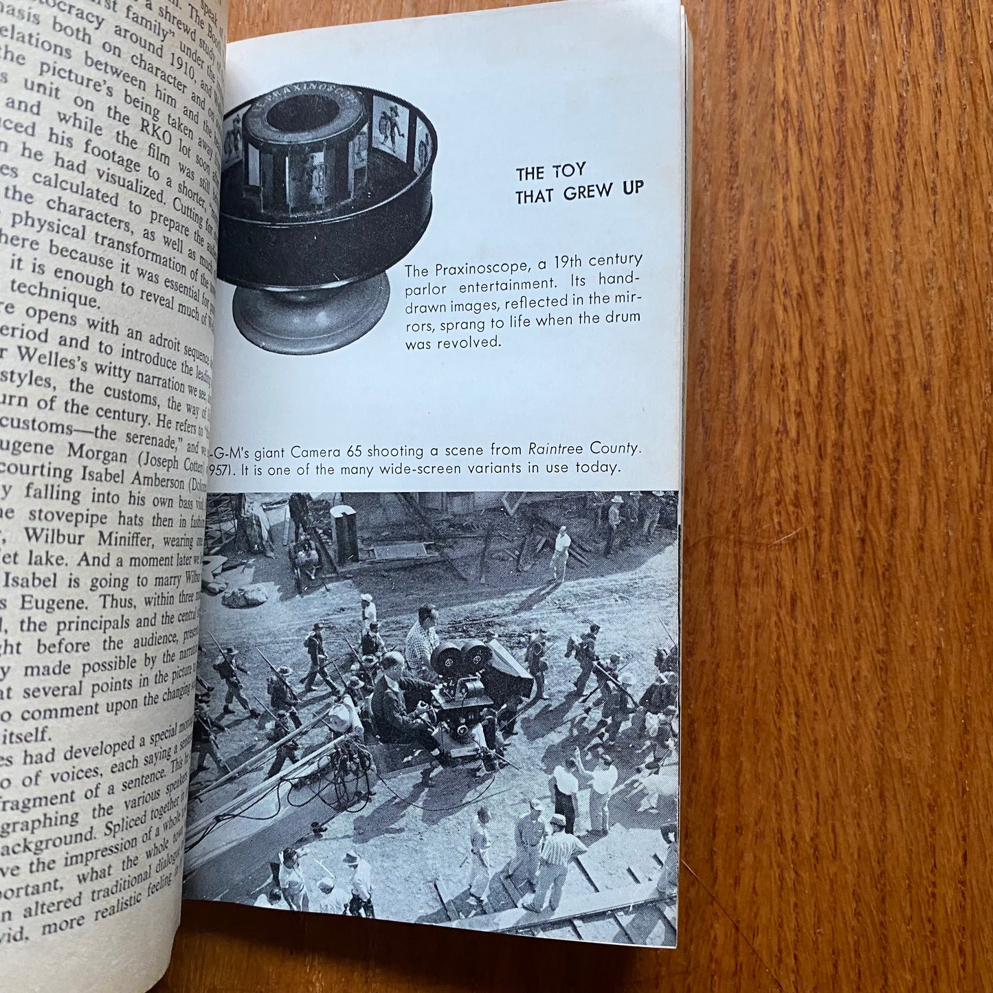 The Liveliest Art Mass Market Paperback - Arthur Knight