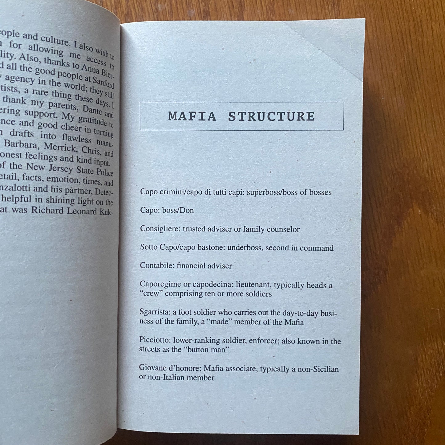 The Ice Man - Phillip Carlo