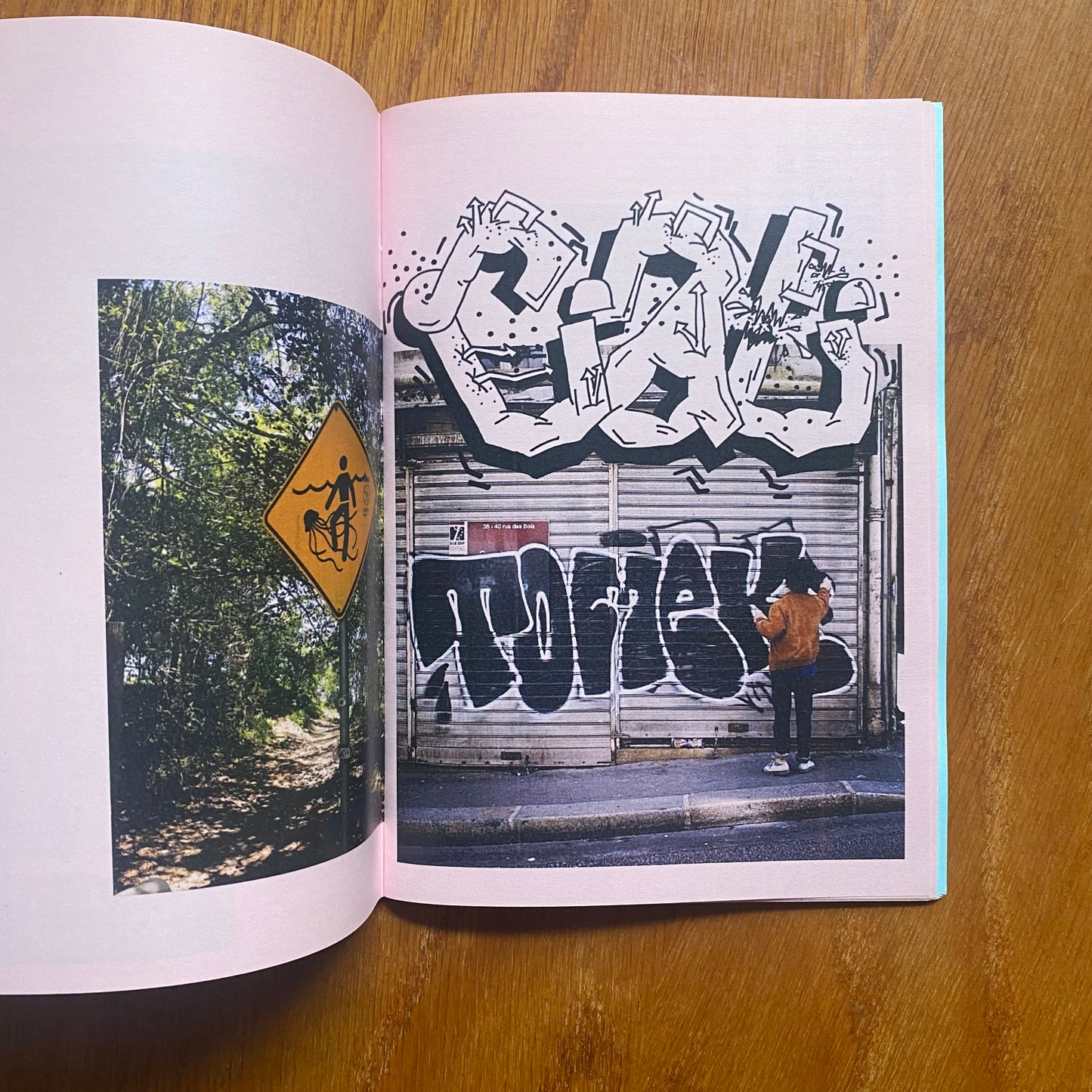 Tree As A Fence - Ste Muzz