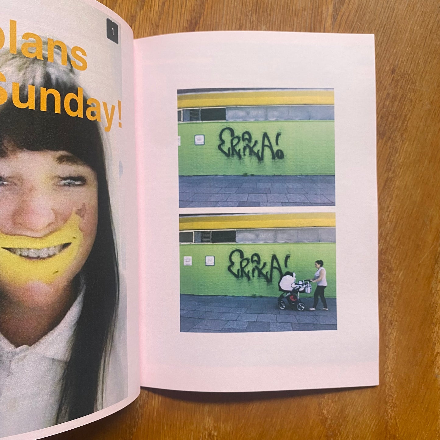 Tree As A Fence - Ste Muzz