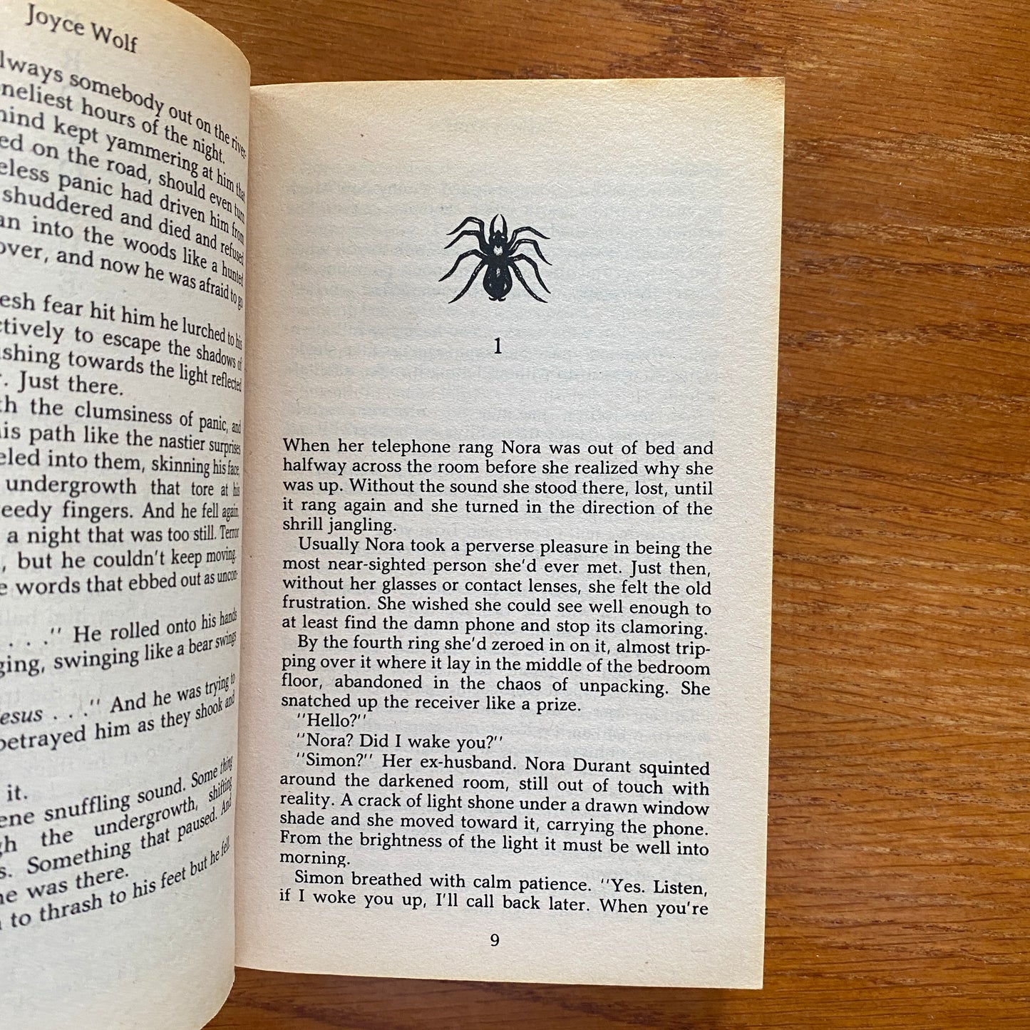 White Spider - Joyce Wolf