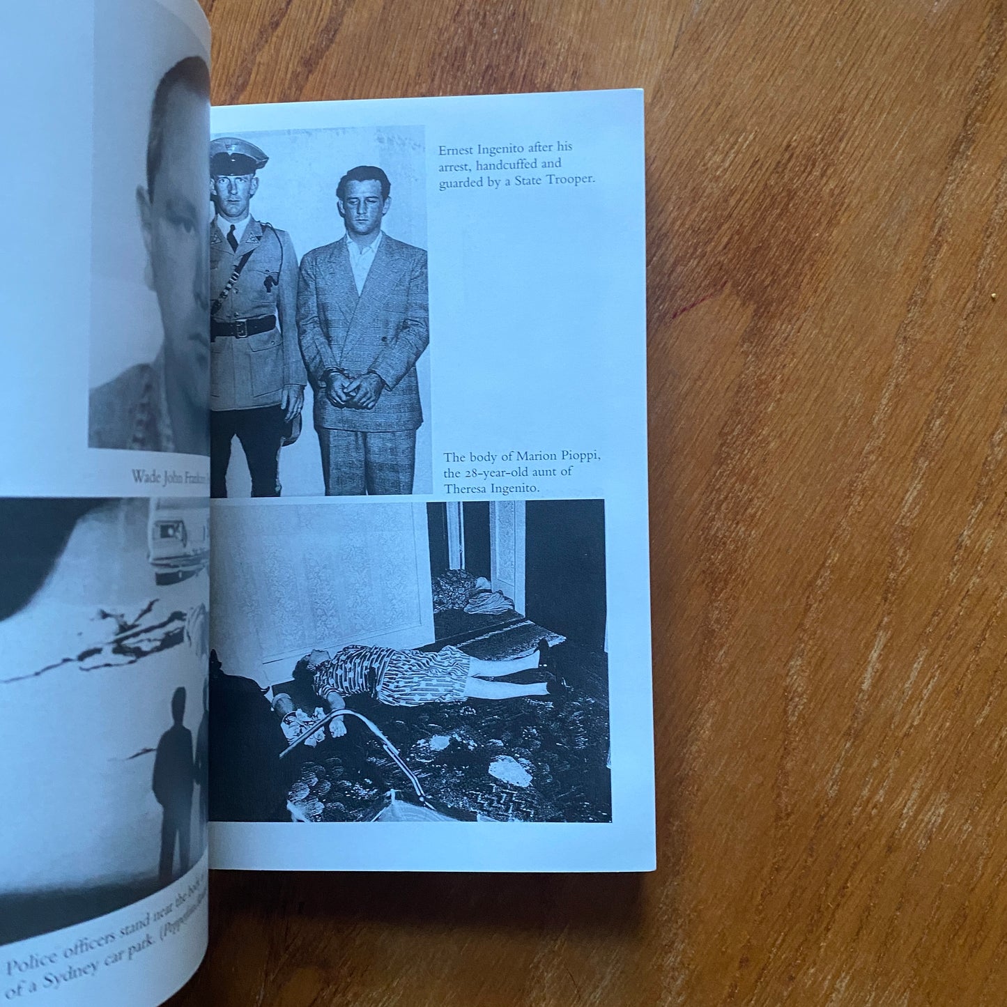 The Encyclopedia of Mass Murders - Brian Lane