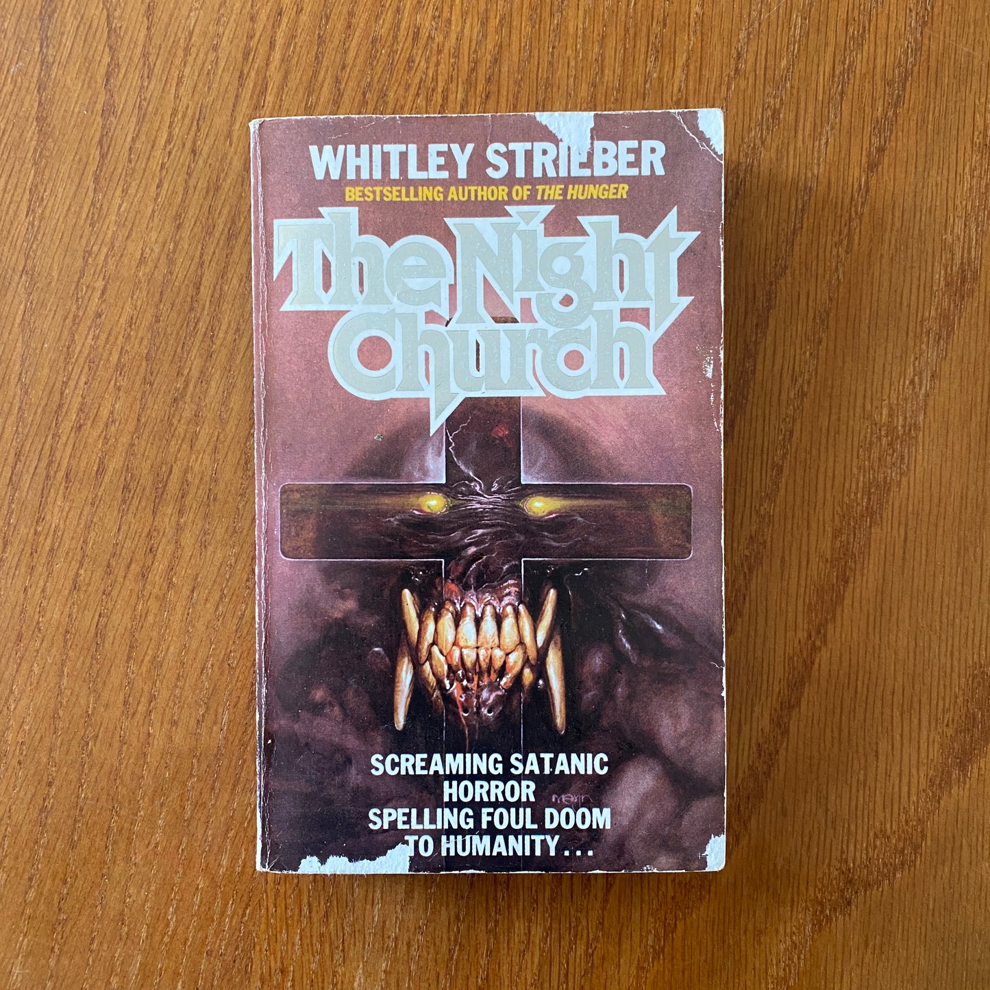 The Night Church - Whitley Stieber