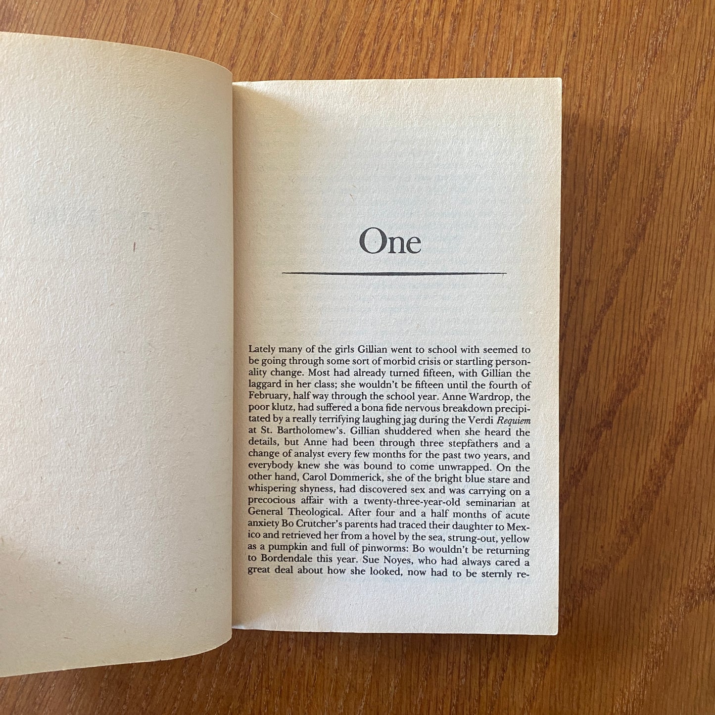 The Fury - John Farris