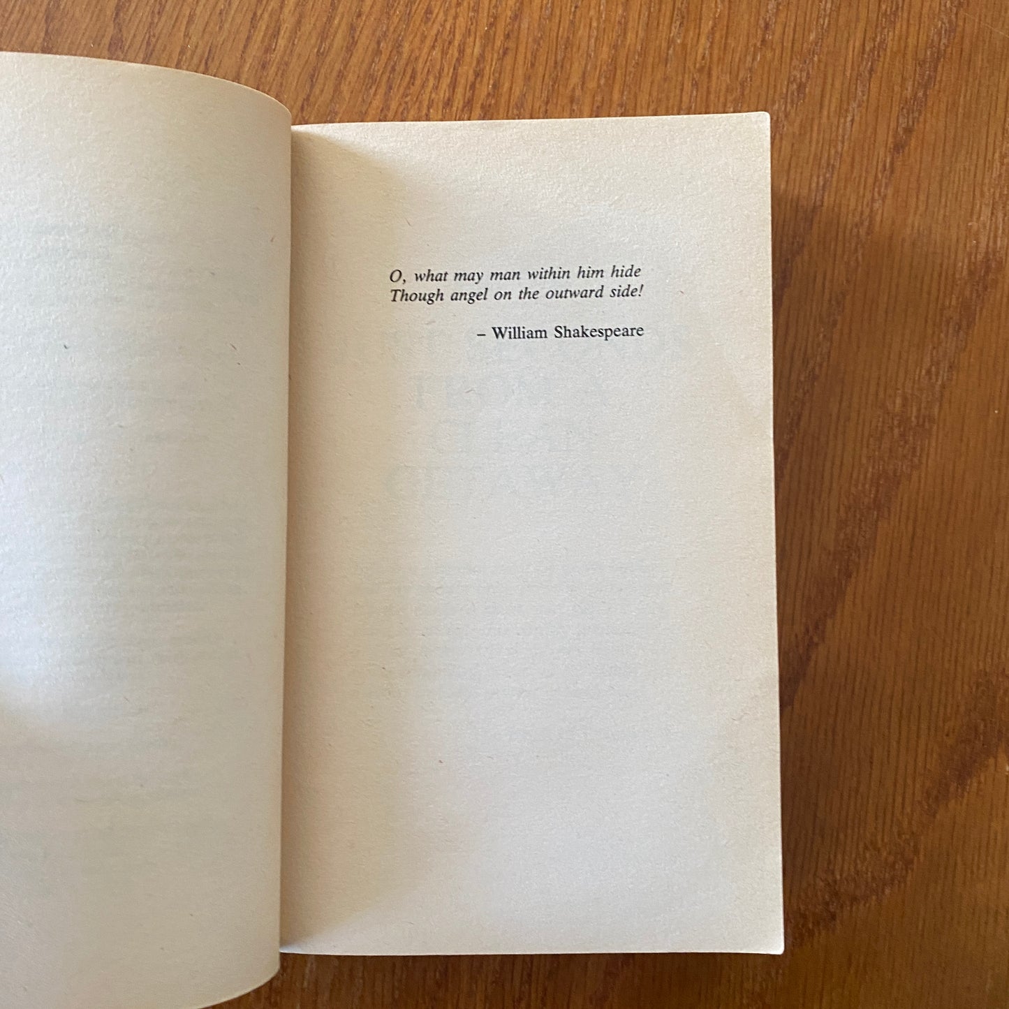Dean Koontz - Hideaway