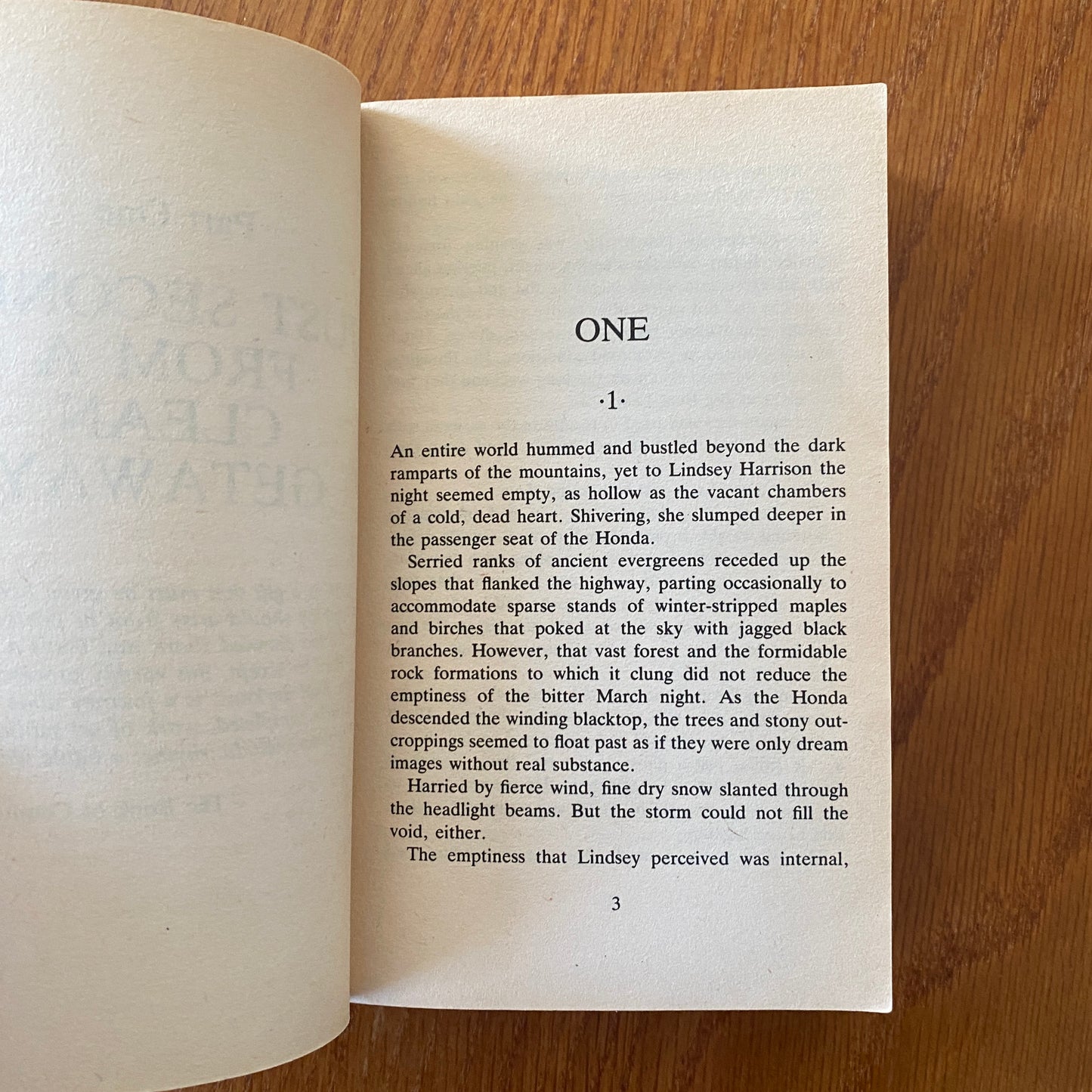 Dean Koontz - Hideaway