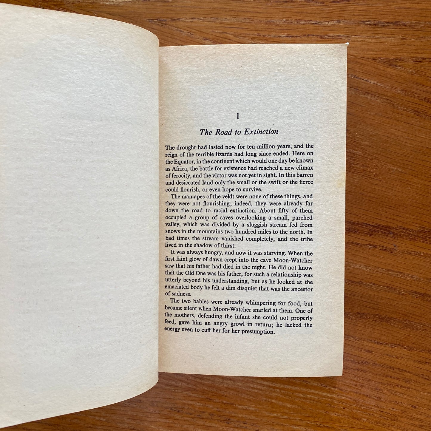 2001: A Space Odyssey  - Arthur Clarke