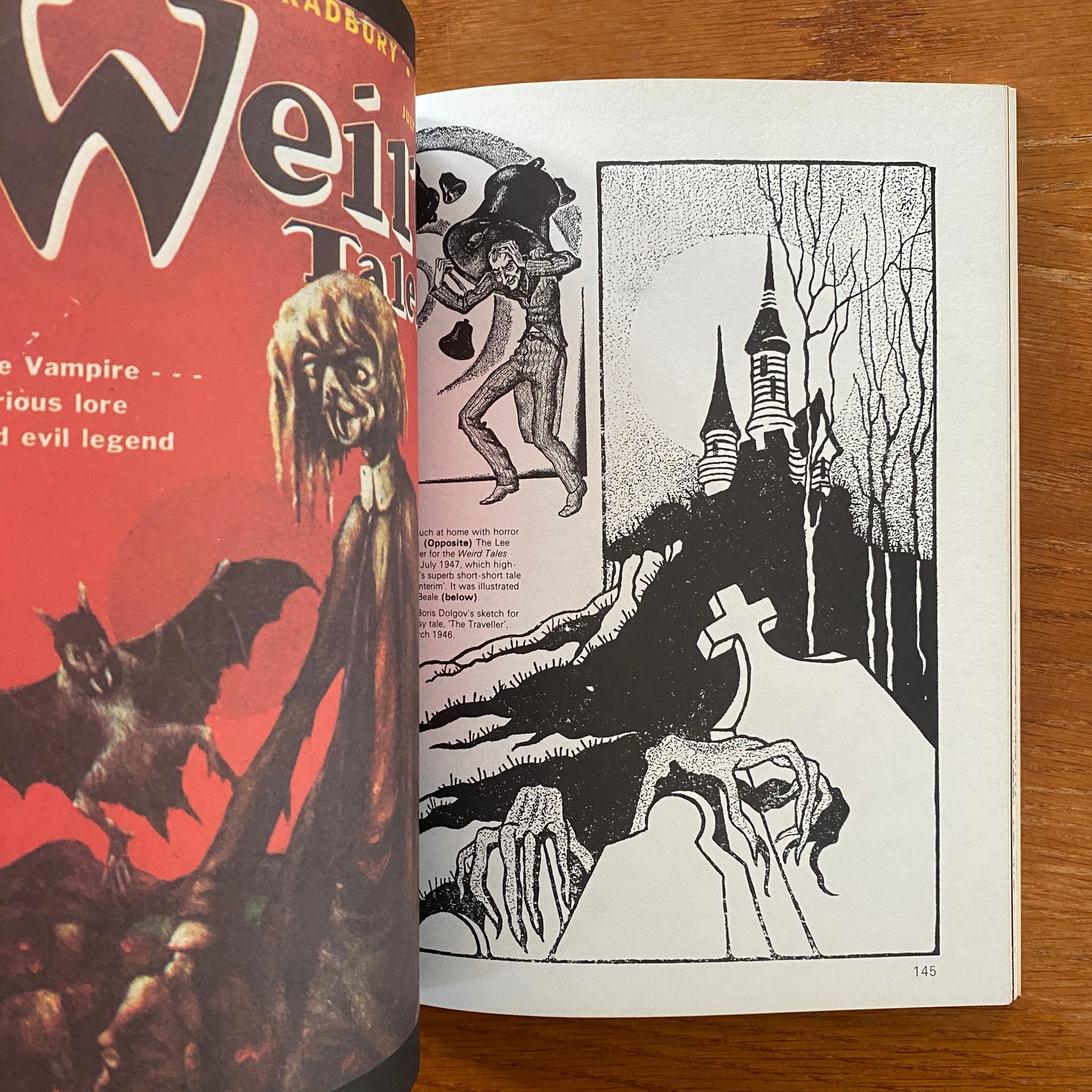 Terror! A History of Horror Illustrations from the Pulp Magazine - Peter Haining