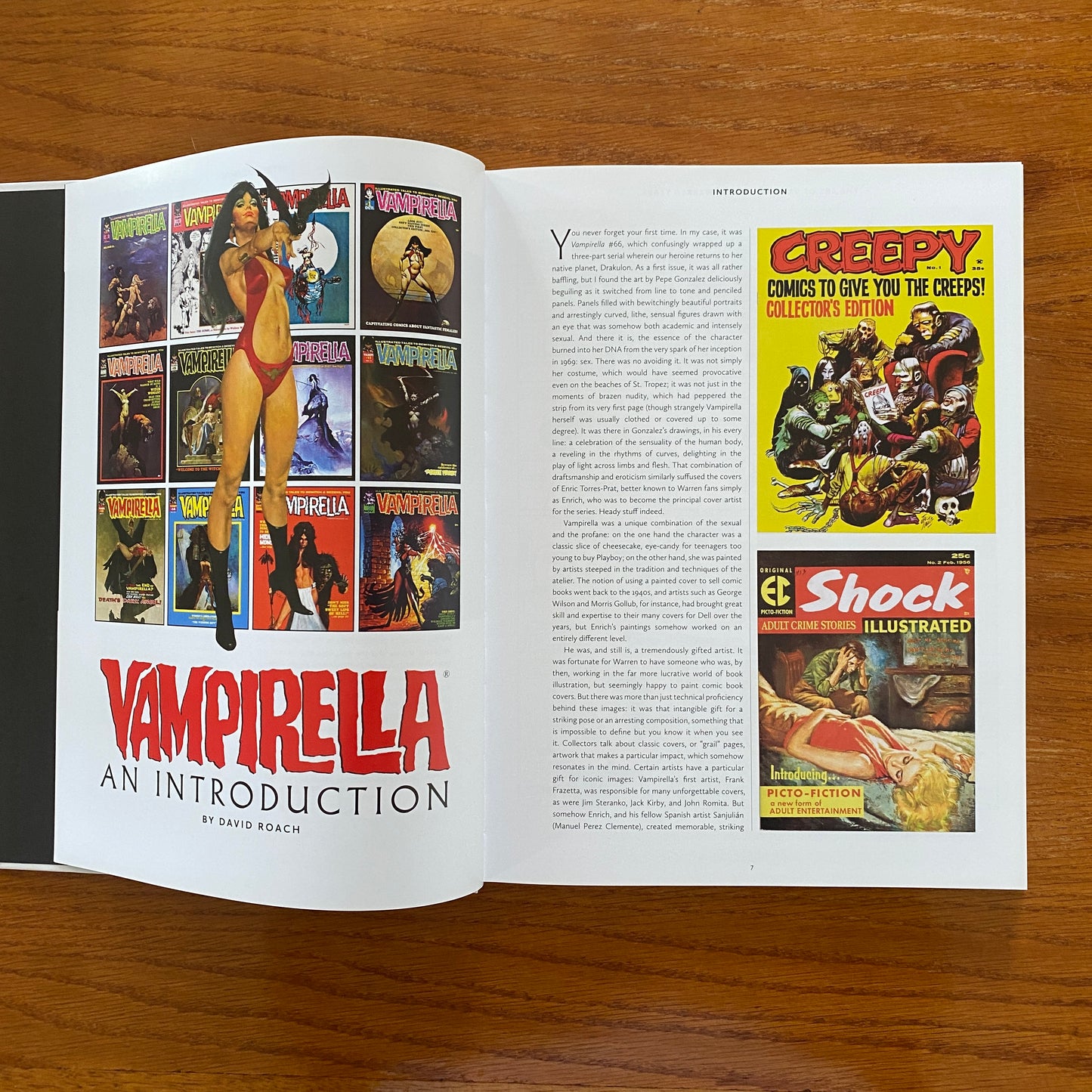 The Art of Vampirella: The Warren Years - José Villarubia & David Roach
