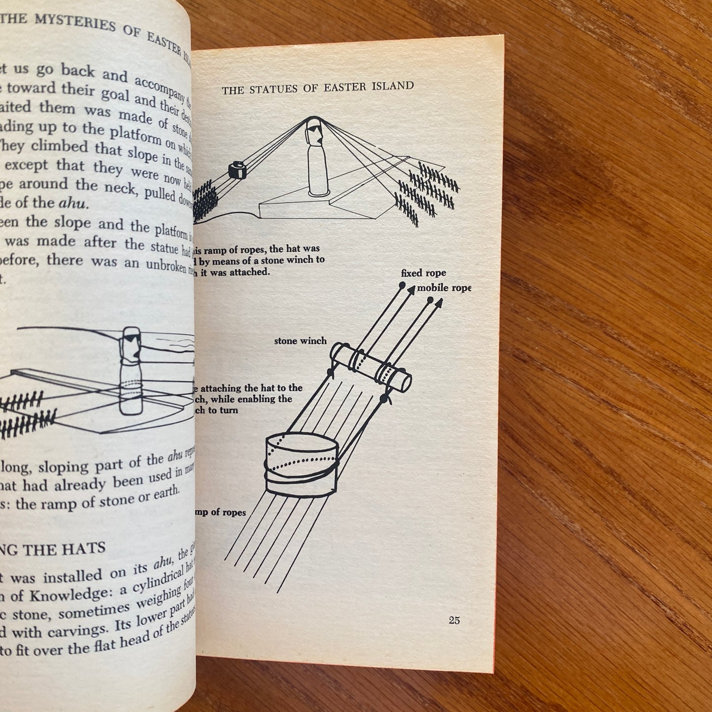 The Mysteries of Easter Island - Jean - Michael Schwartz