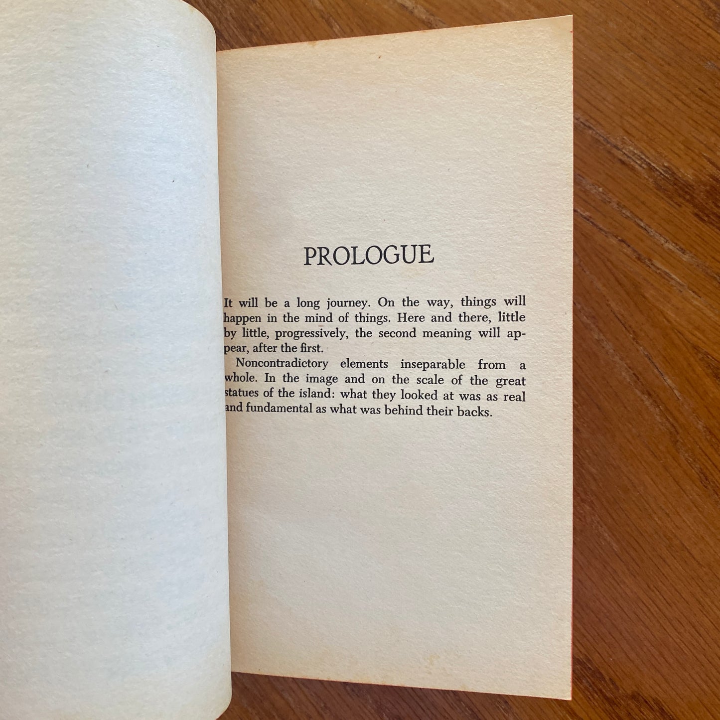 The Mysteries of Easter Island - Jean - Michael Schwartz